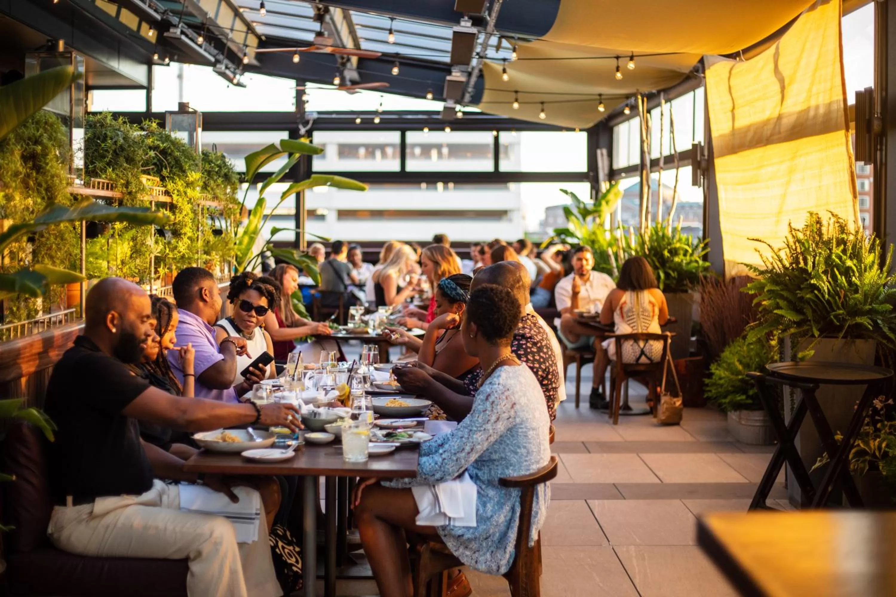 Restaurant/places to eat in The Blake Hotel