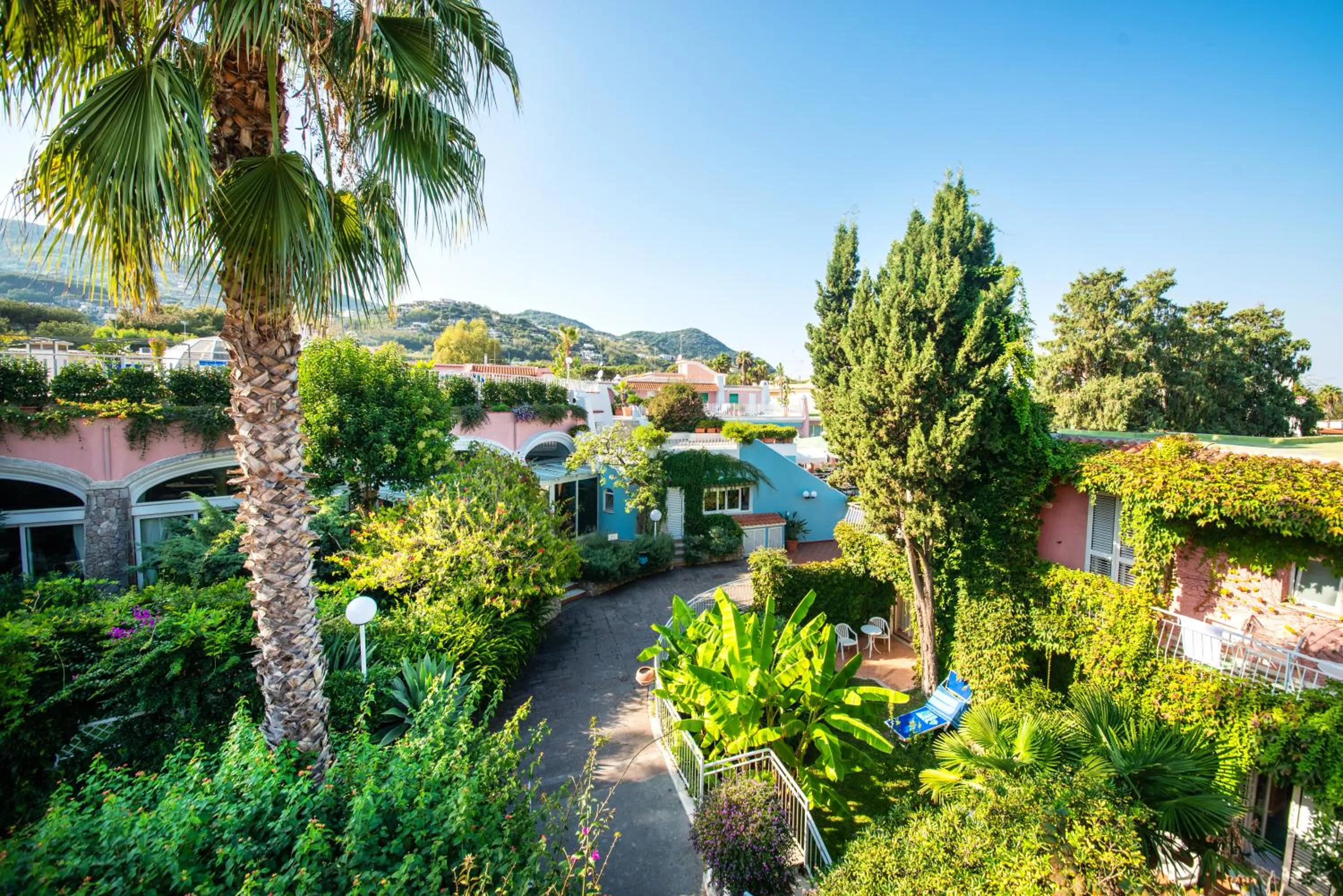 Garden in Hotel Continental Ischia