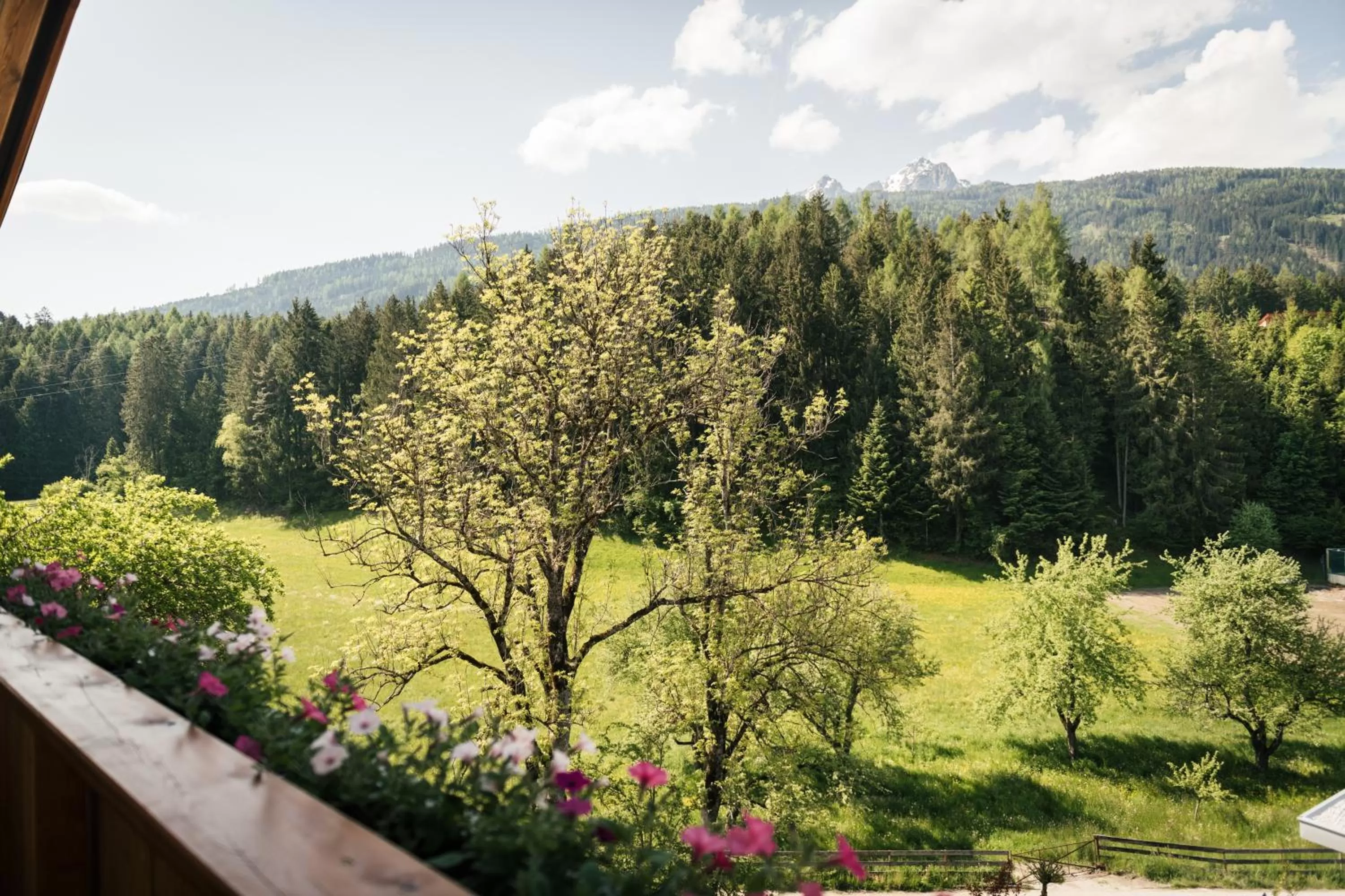 Spring in Edenhauserhof