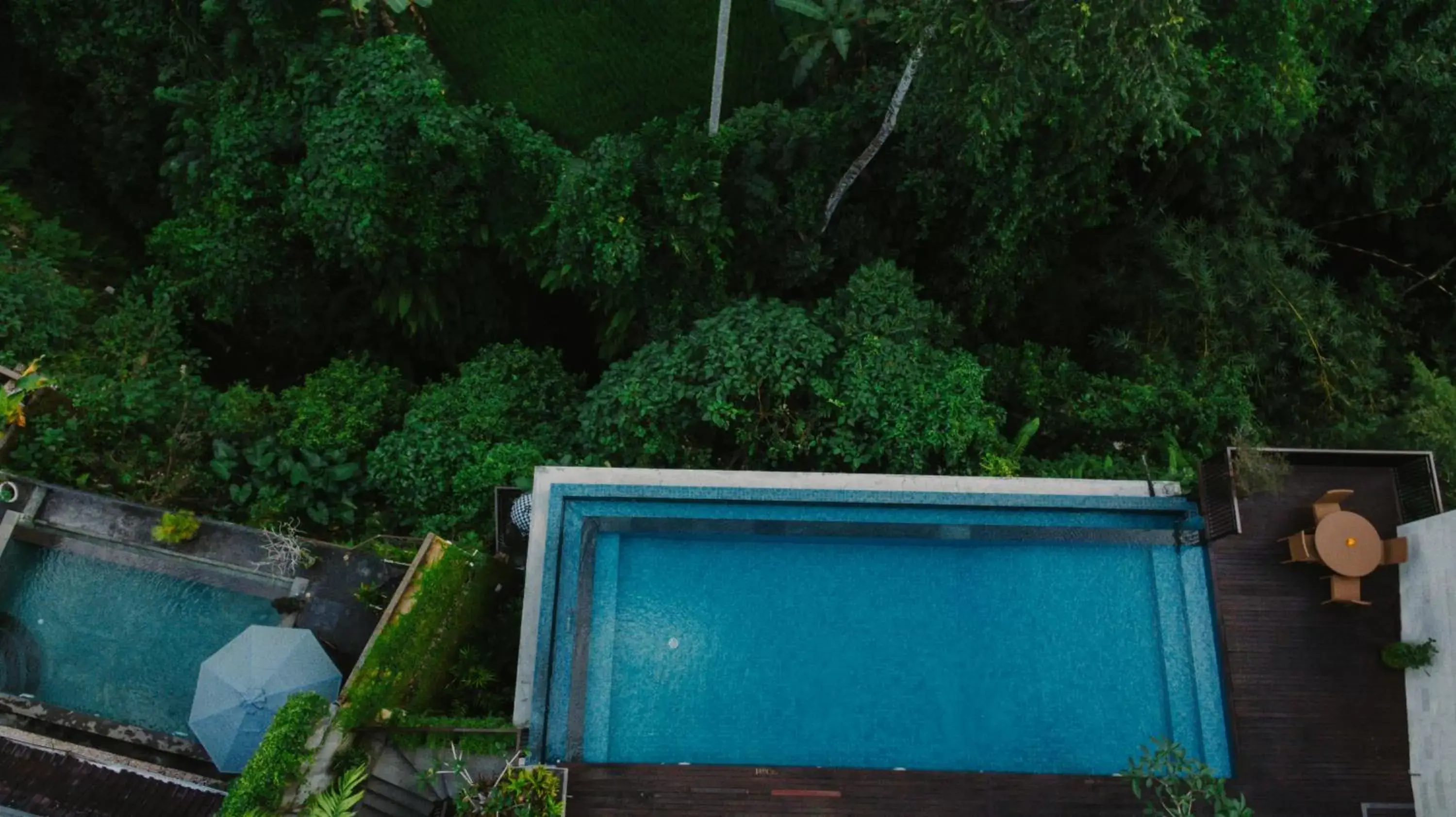 Swimming pool, Pool View in River Sakti Ubud by Prasi