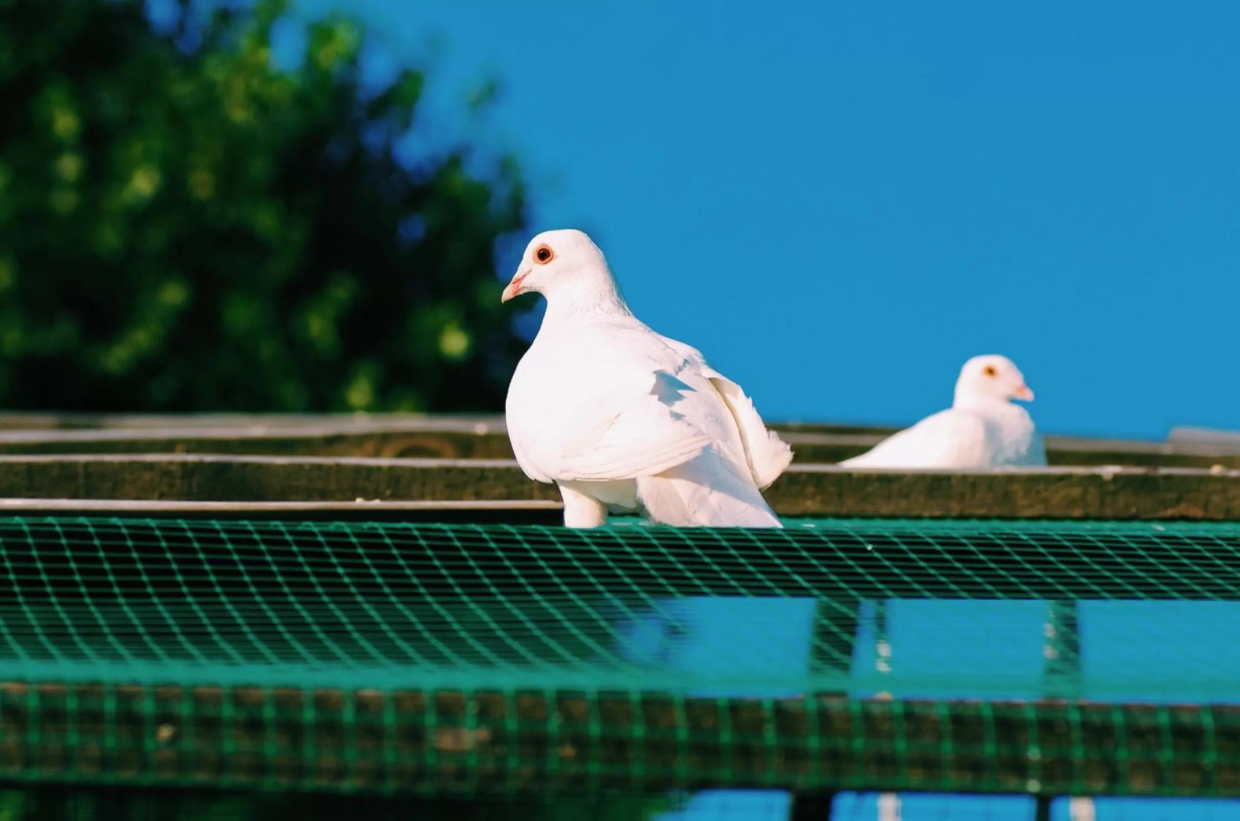 Hotel and Entertaiment Complex Vlada