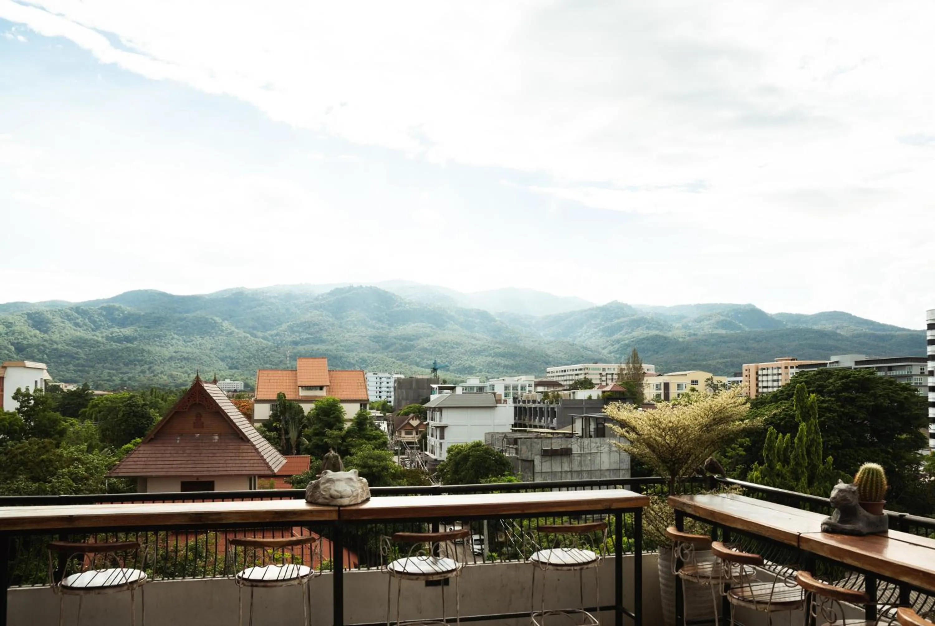 Natural landscape in Hotel Yayee