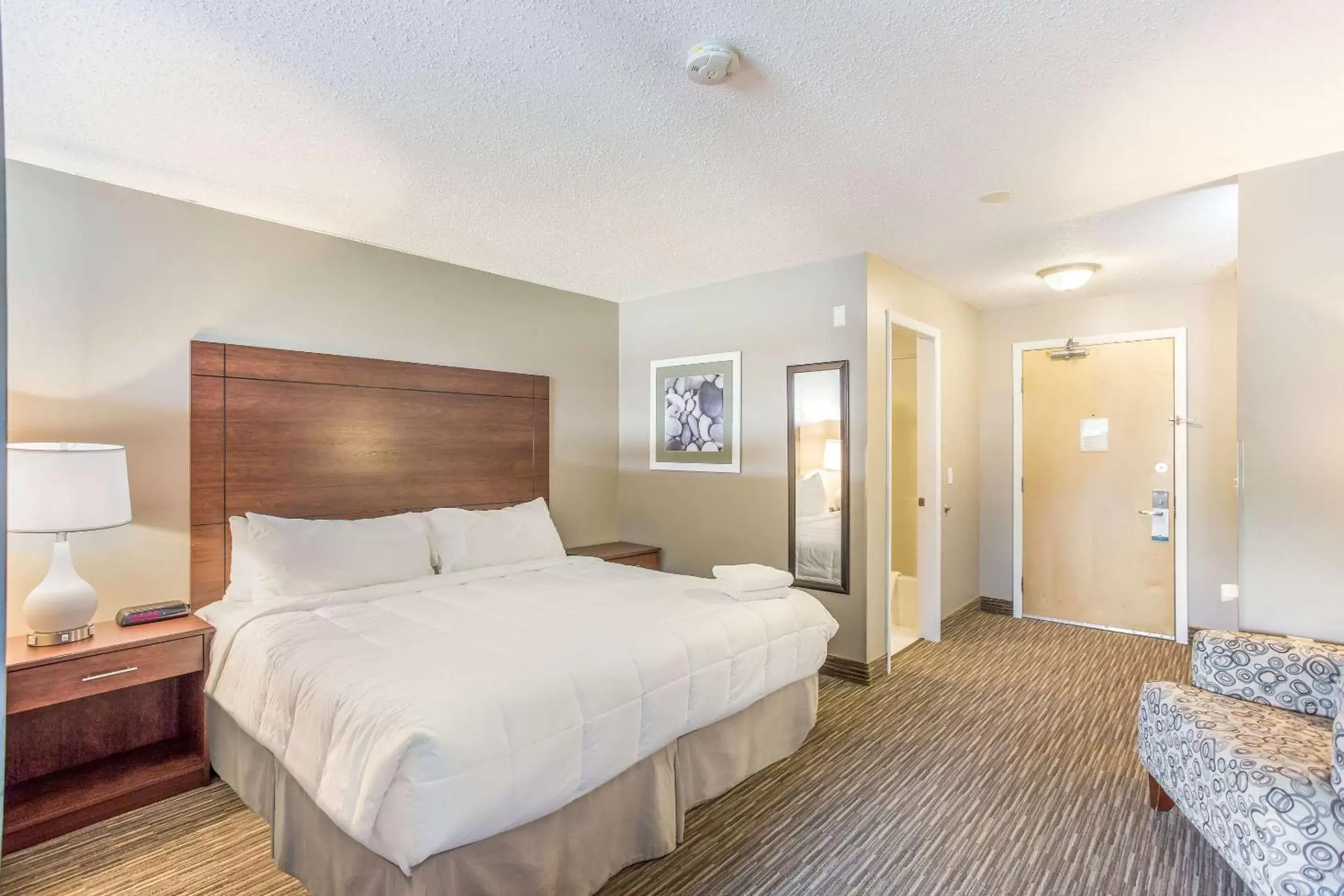 Photo of the whole room, Bed in Quality Inn & Suites