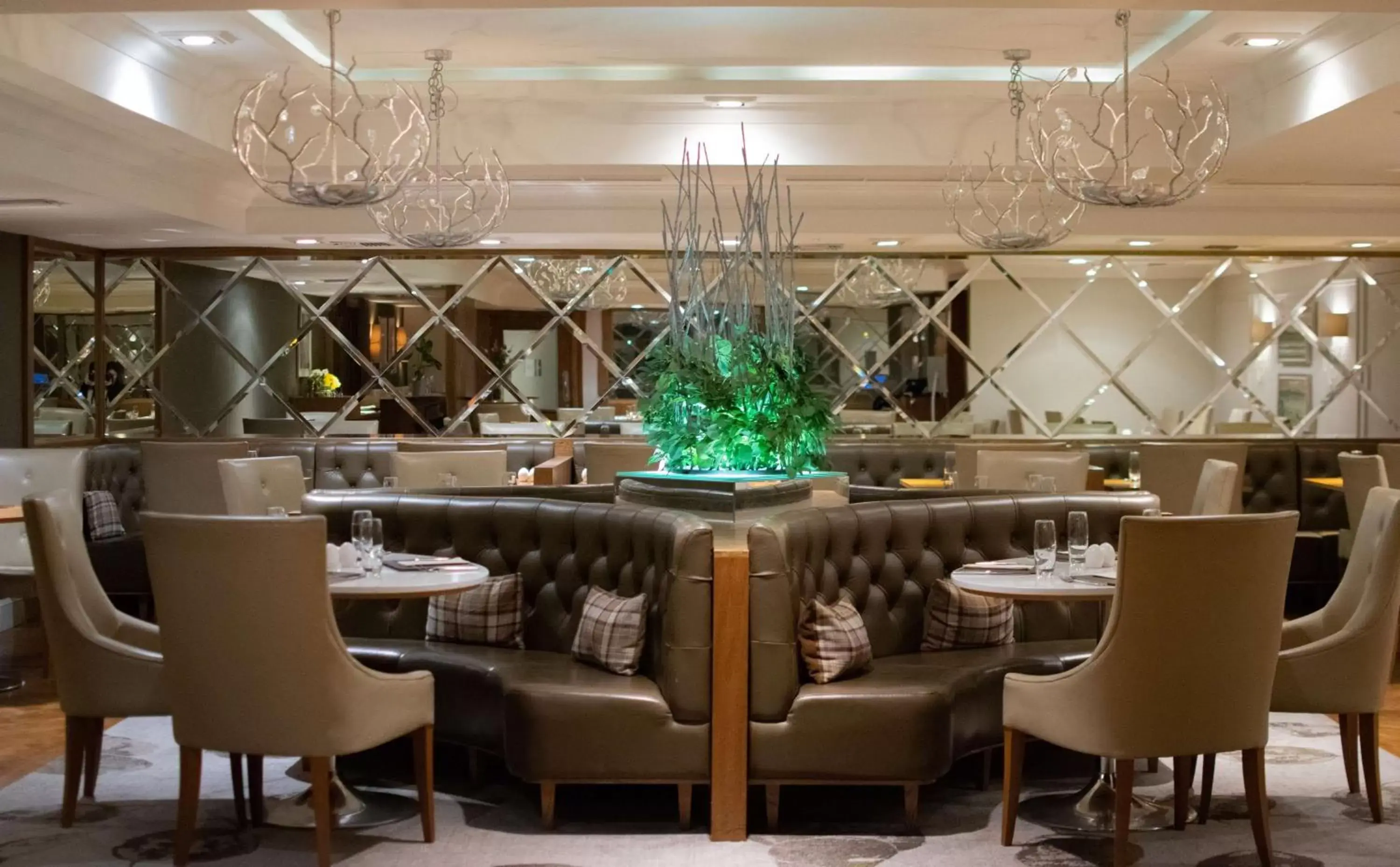 Restaurant/Places to Eat in Hilton Grand Vacations Club Craigendarroch Suites Scotland