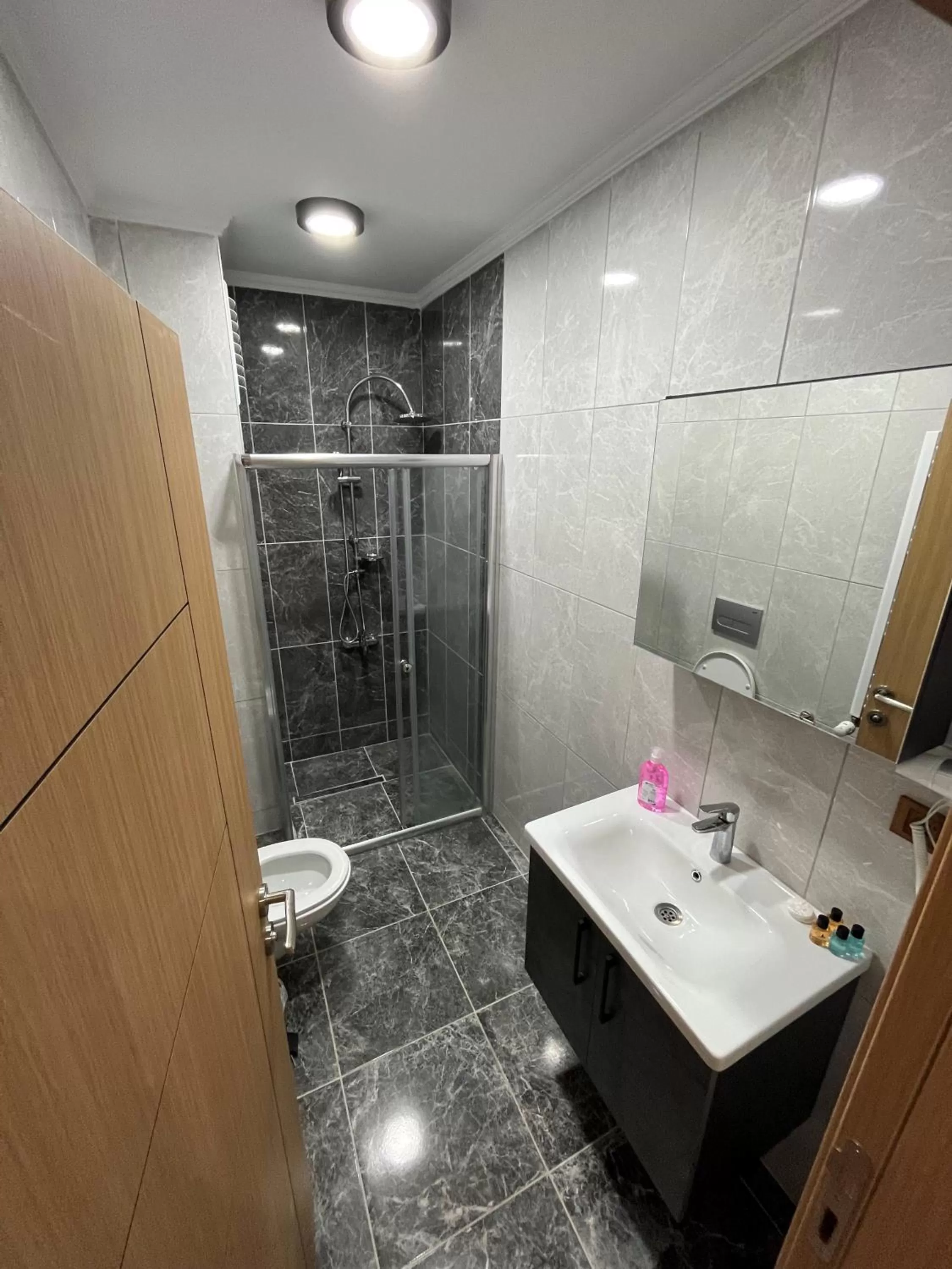 Toilet in White House Apart