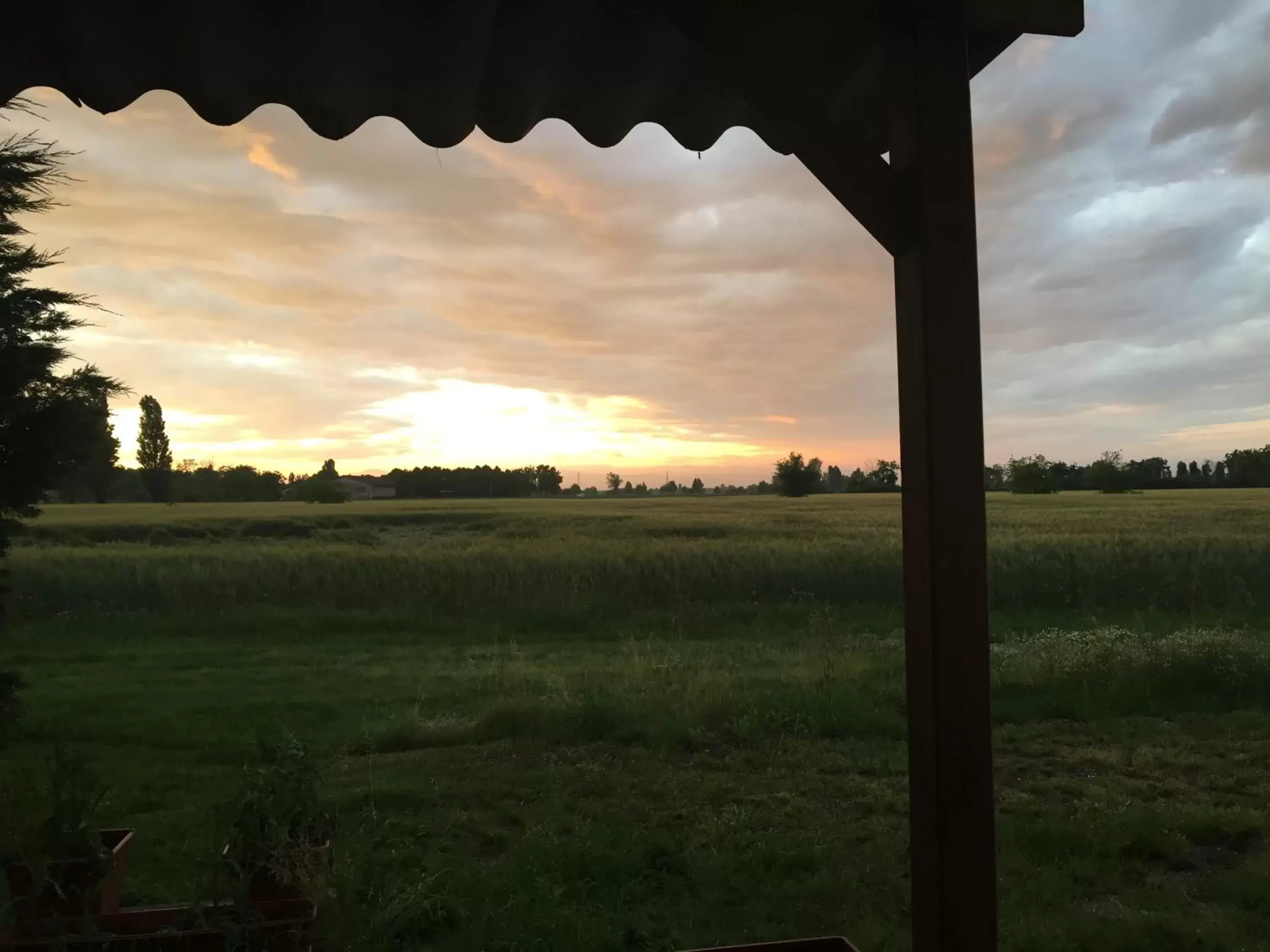 View (from property/room) in B&B Cascina Sagrestia