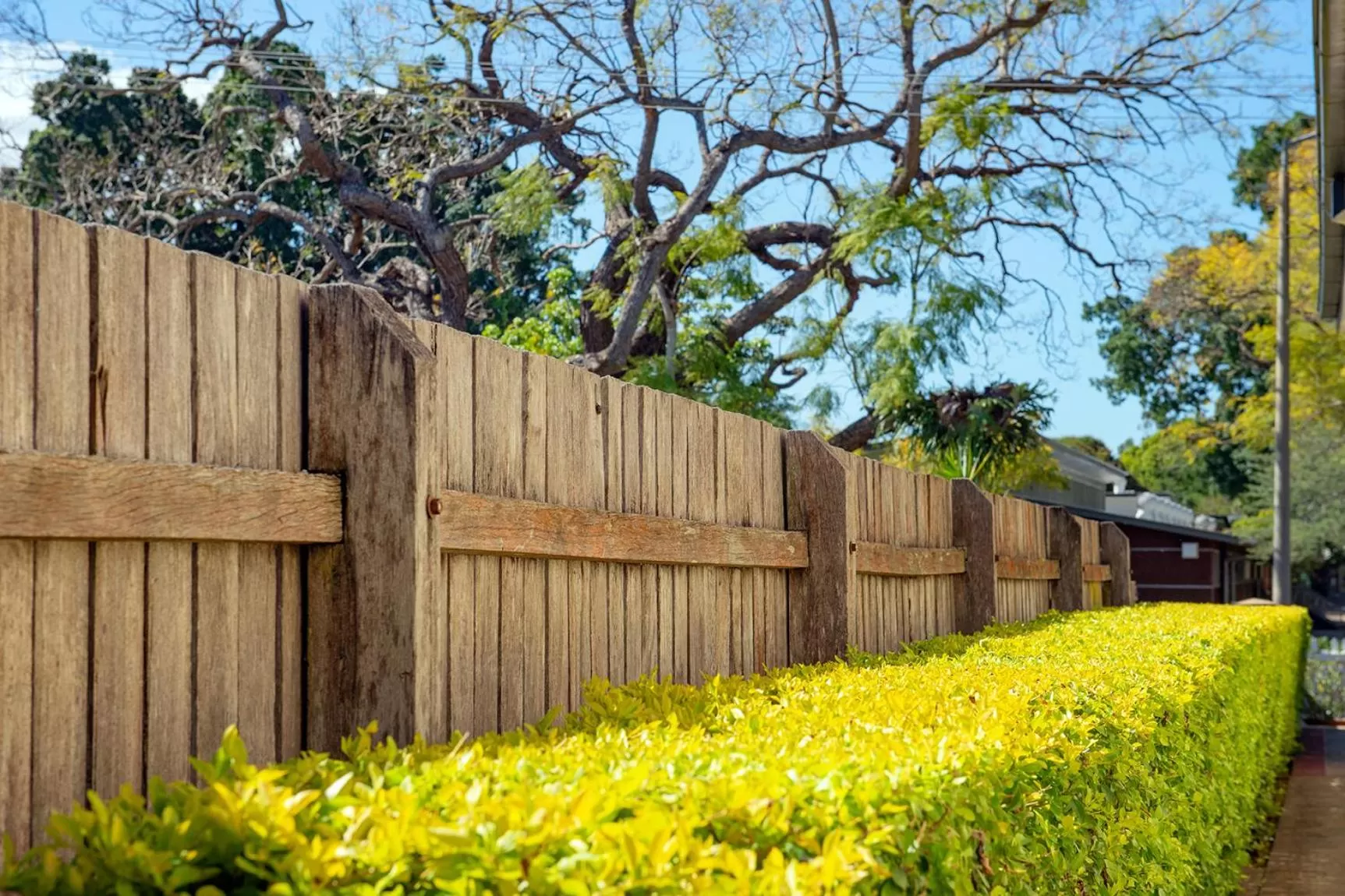 Garden in Fitzroy Motor Inn