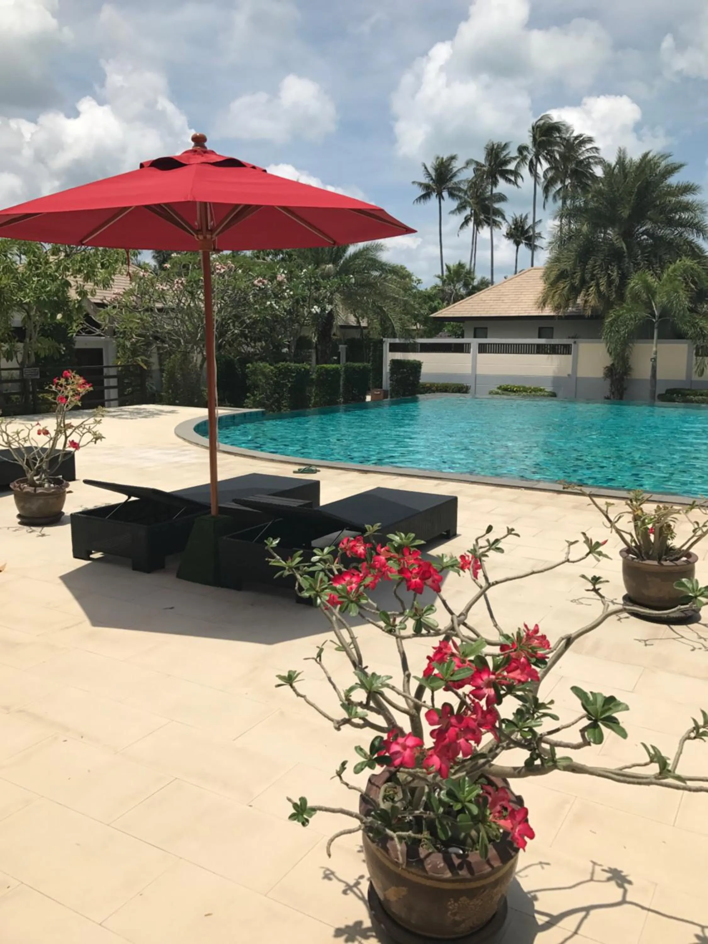 Swimming pool in Samui Boat Lagoon