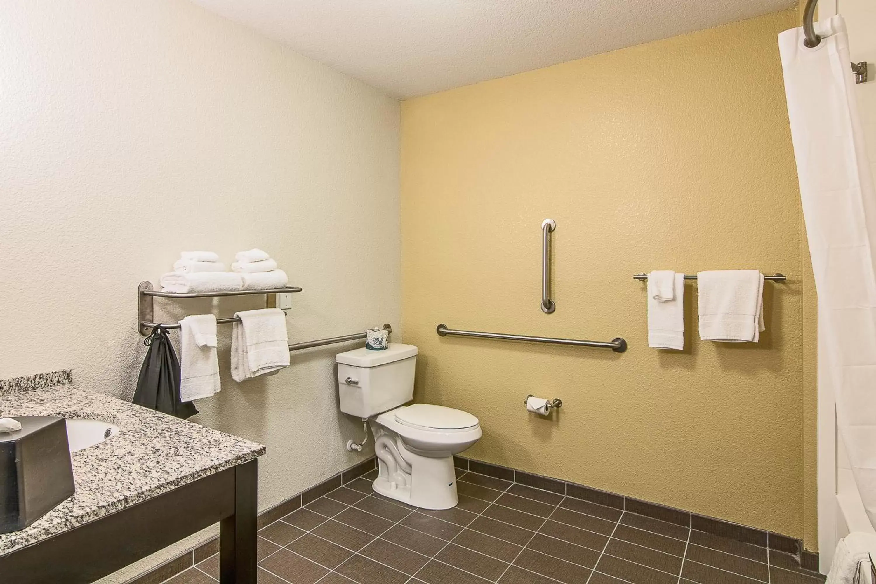 Toilet, Bathroom in Sleep Inn & Suites West-Near Medical Center