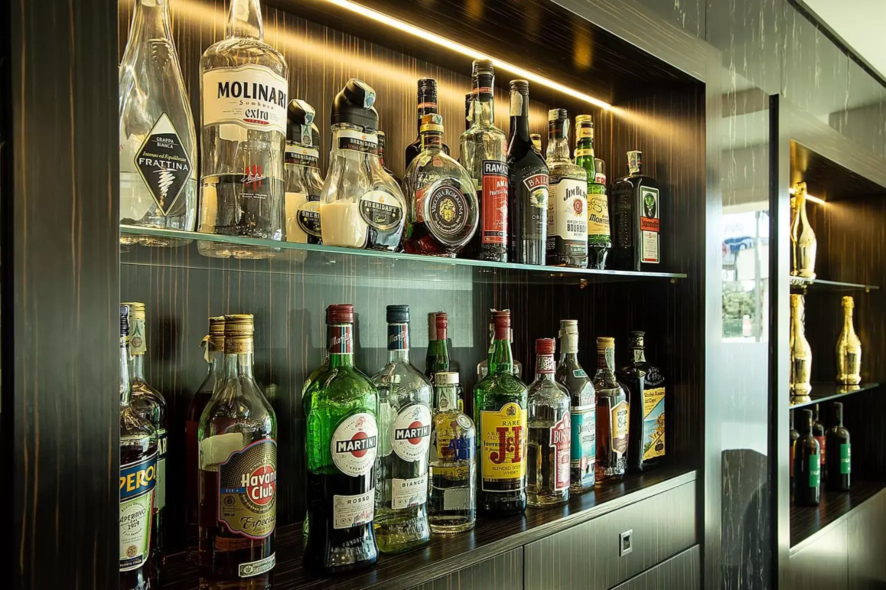 Lounge or bar, Drinks in Best Western JFK Hotel