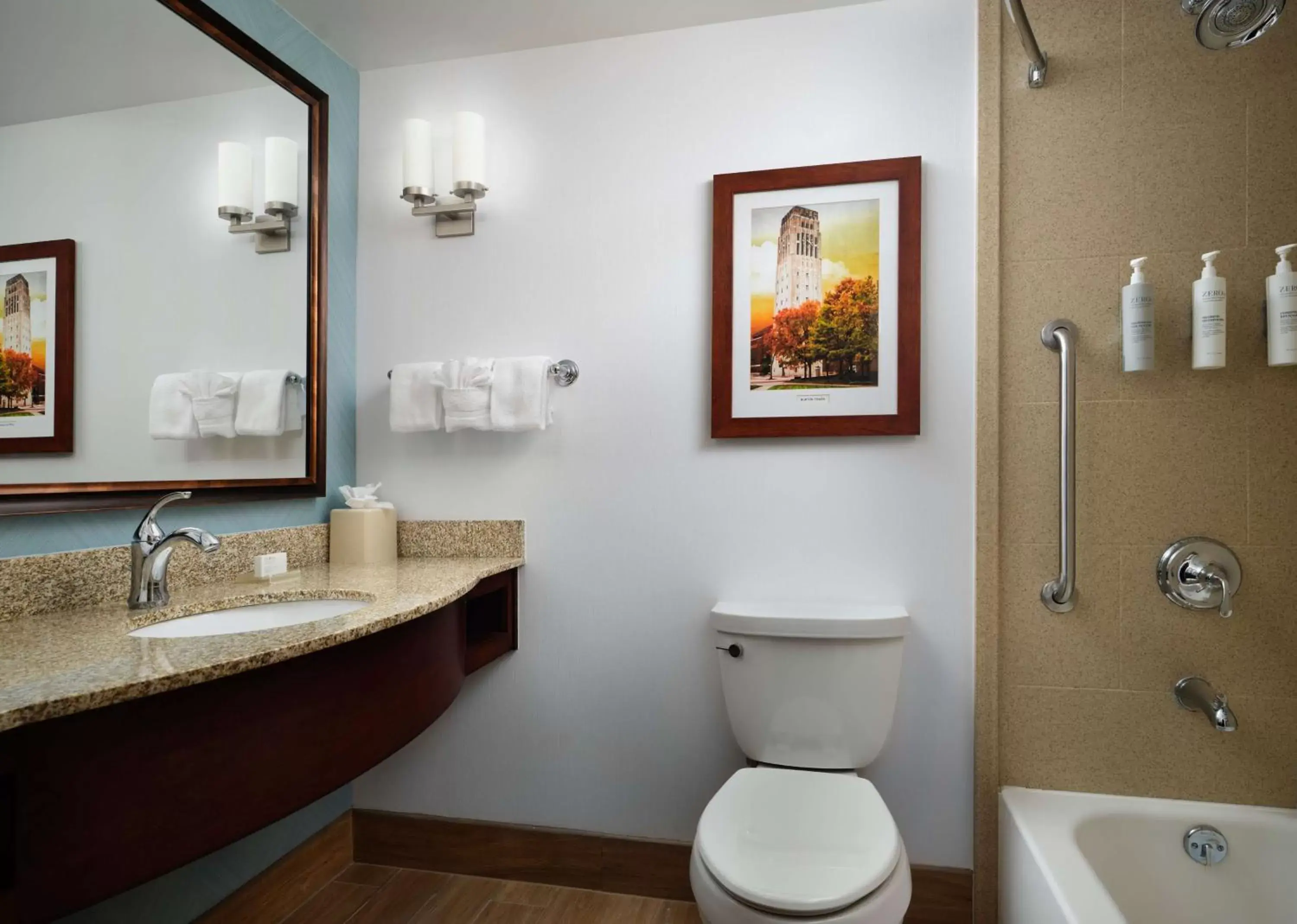 Bathroom in Hilton Garden Inn Ann Arbor