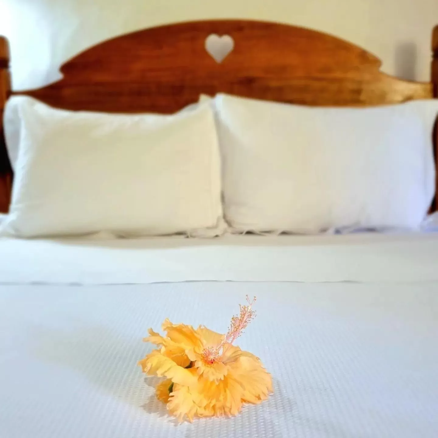 Bed in Pousada Villages Boutique Hotel - 150m da Praia da Laje