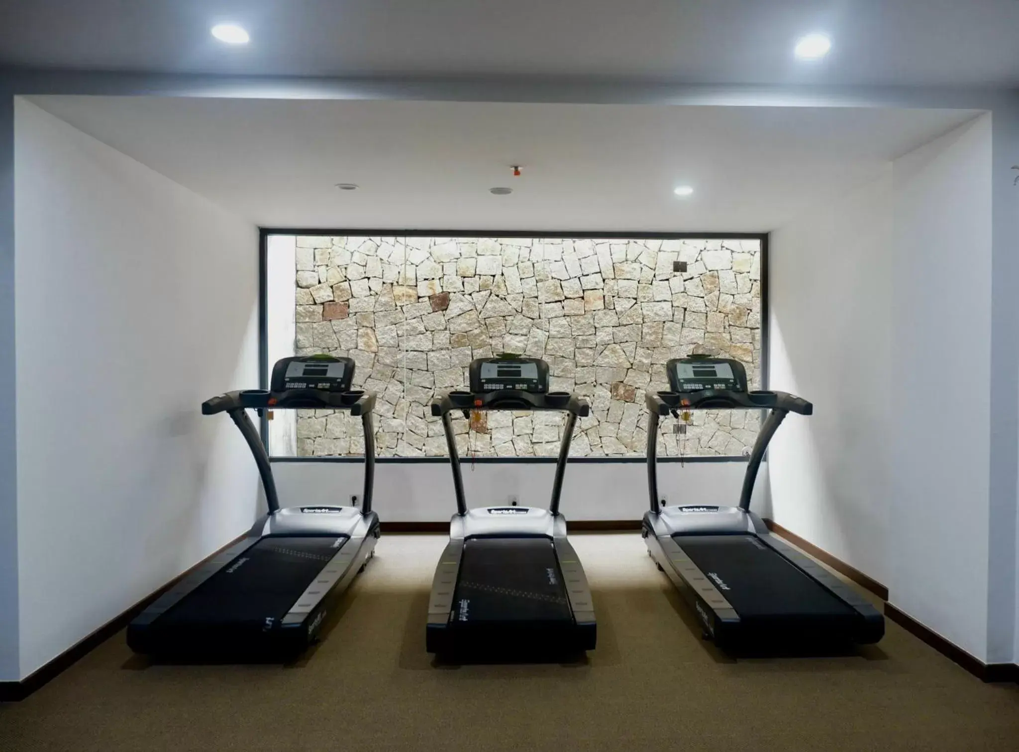 Fitness centre/facilities in Alibu Resort Nha Trang Fitness centre/facilities in Alibu Resort Nha Trang