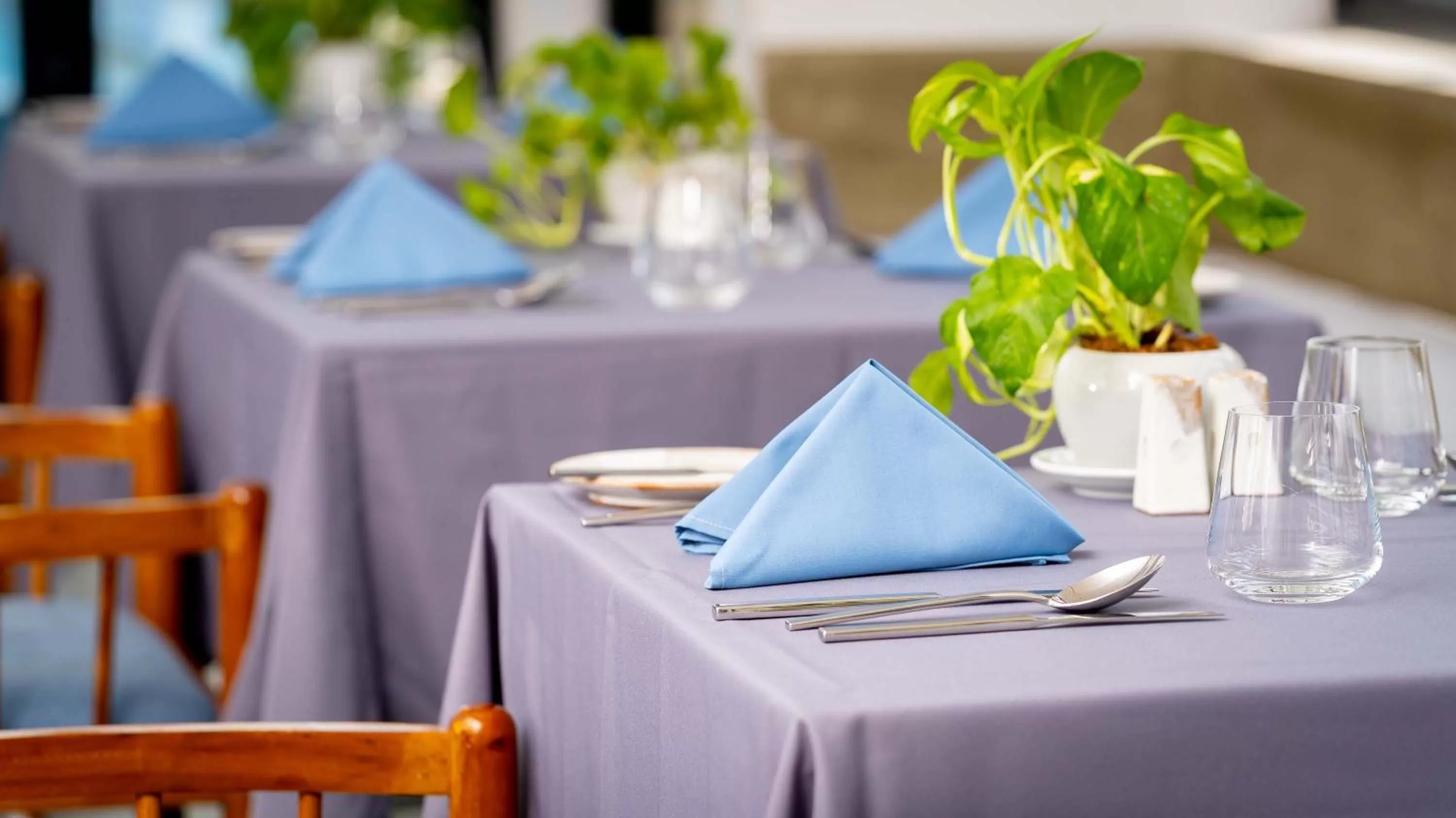 Restaurant/places to eat in Grand Venus La Residence