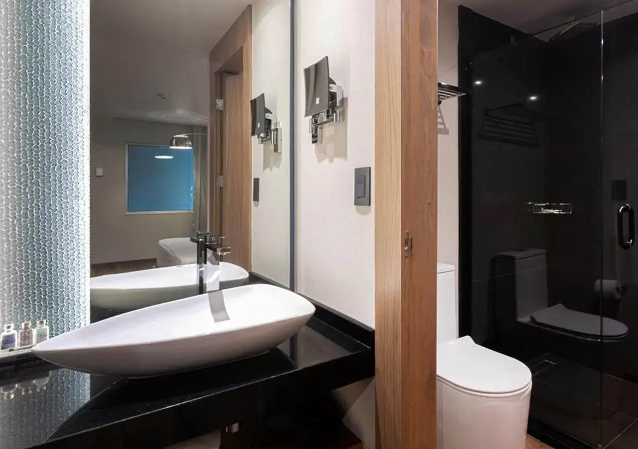 Toilet, Bathroom in Hotel Real del Rio