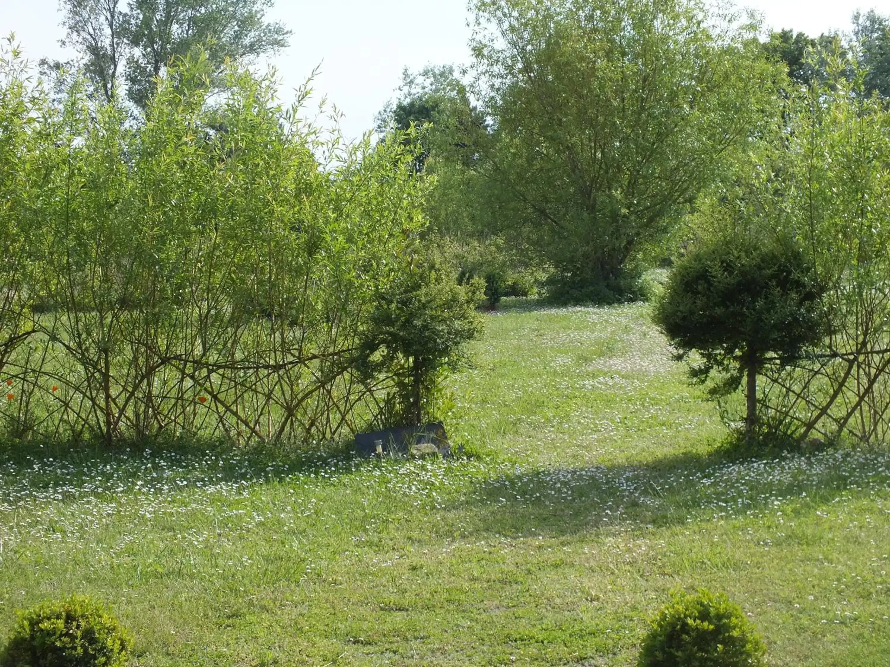 Day, Garden in Château de Nazé