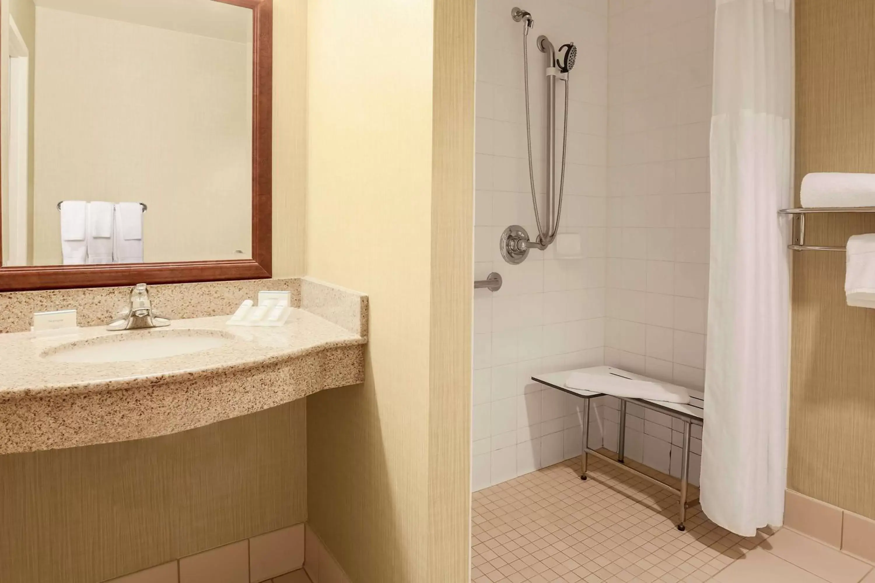 Bathroom in Hilton Garden Inn Chicago/Midway Airport