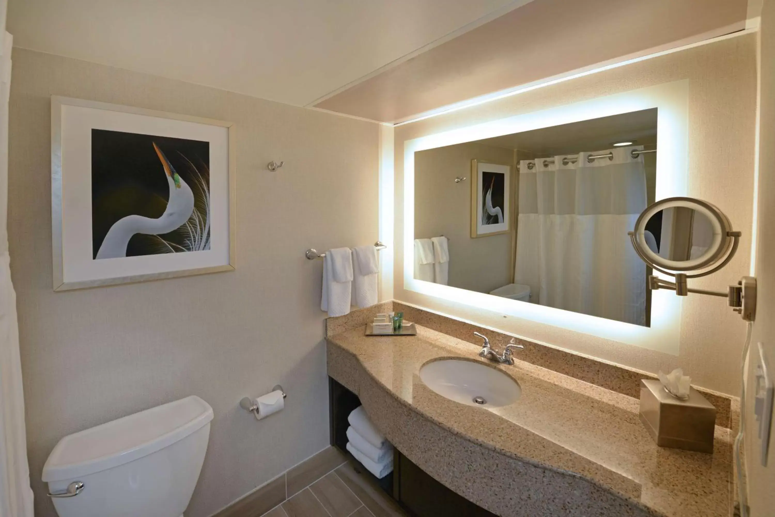 Bathroom in Hilton Orlando/Altamonte Springs