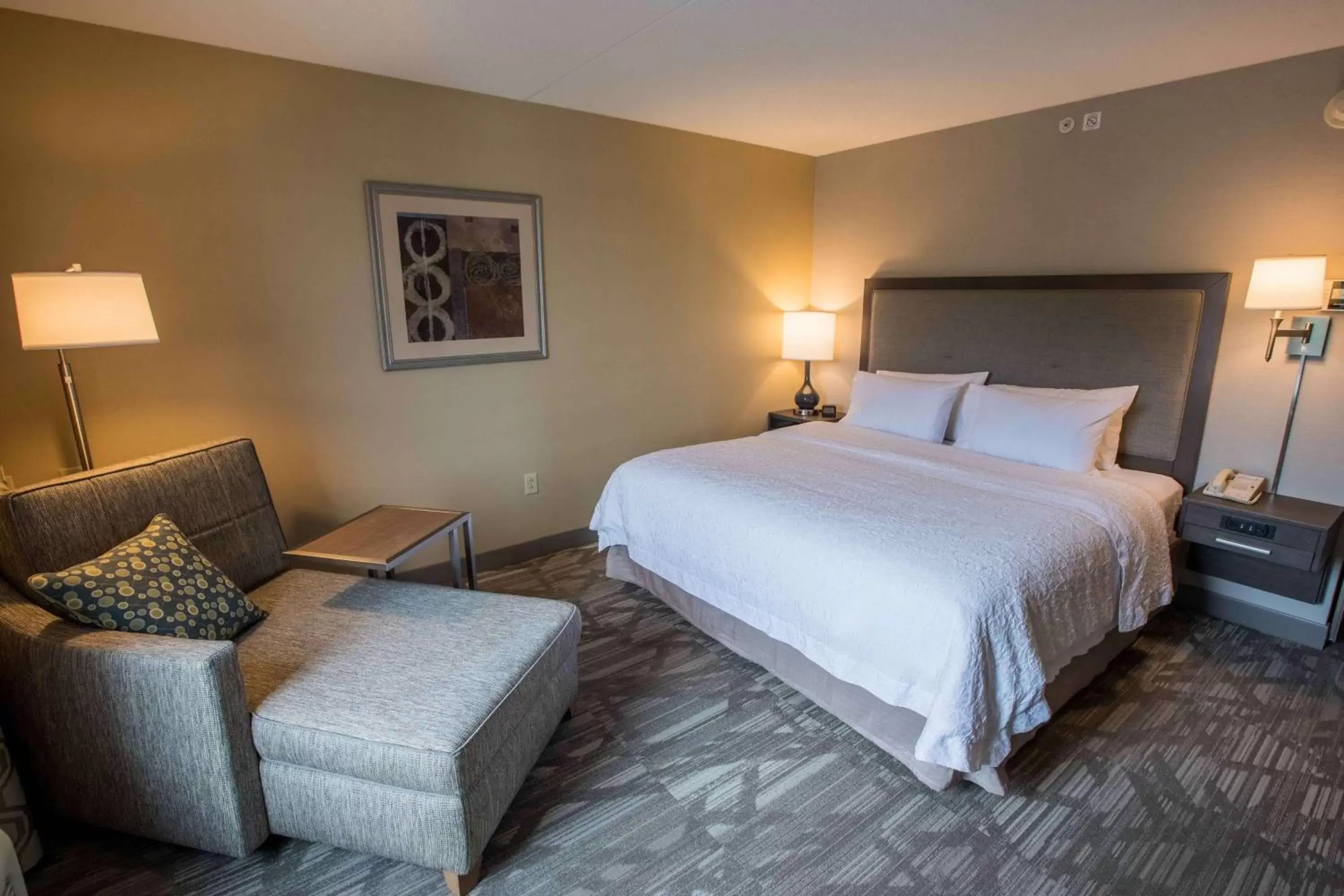 King Room with Shower - Non-Smoking in Hampton Inn & Suites Tilton King Room with Shower - Non-Smoking in Hampton Inn & Suites Tilton