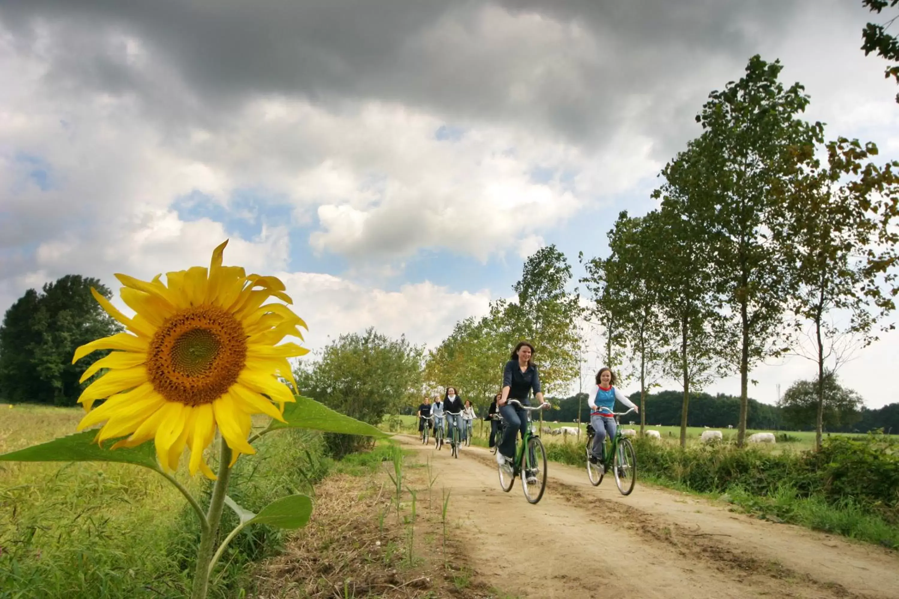 Cycling in Hotel De Boskar Peer