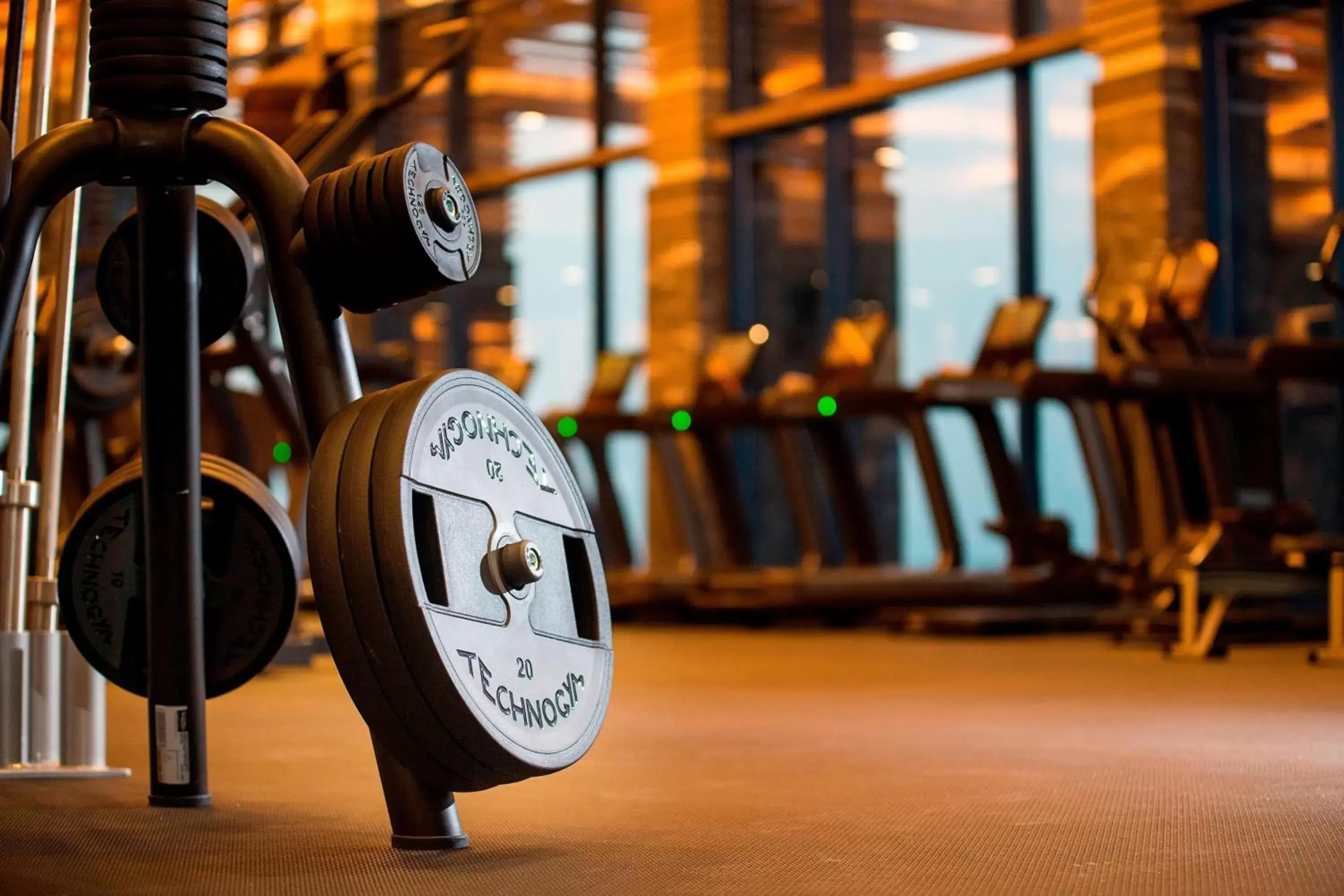 Fitness centre/facilities, Fitness Center/Facilities in The Ritz-Carlton, Doha