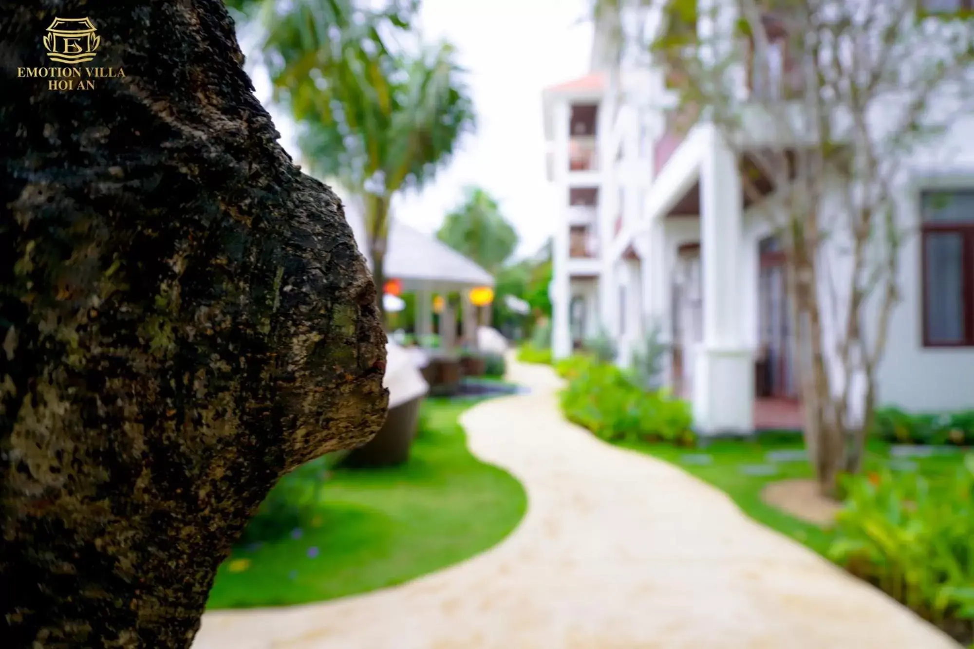 Facade/entrance, Property Building in Hoi An Emotion Boutique Hotel