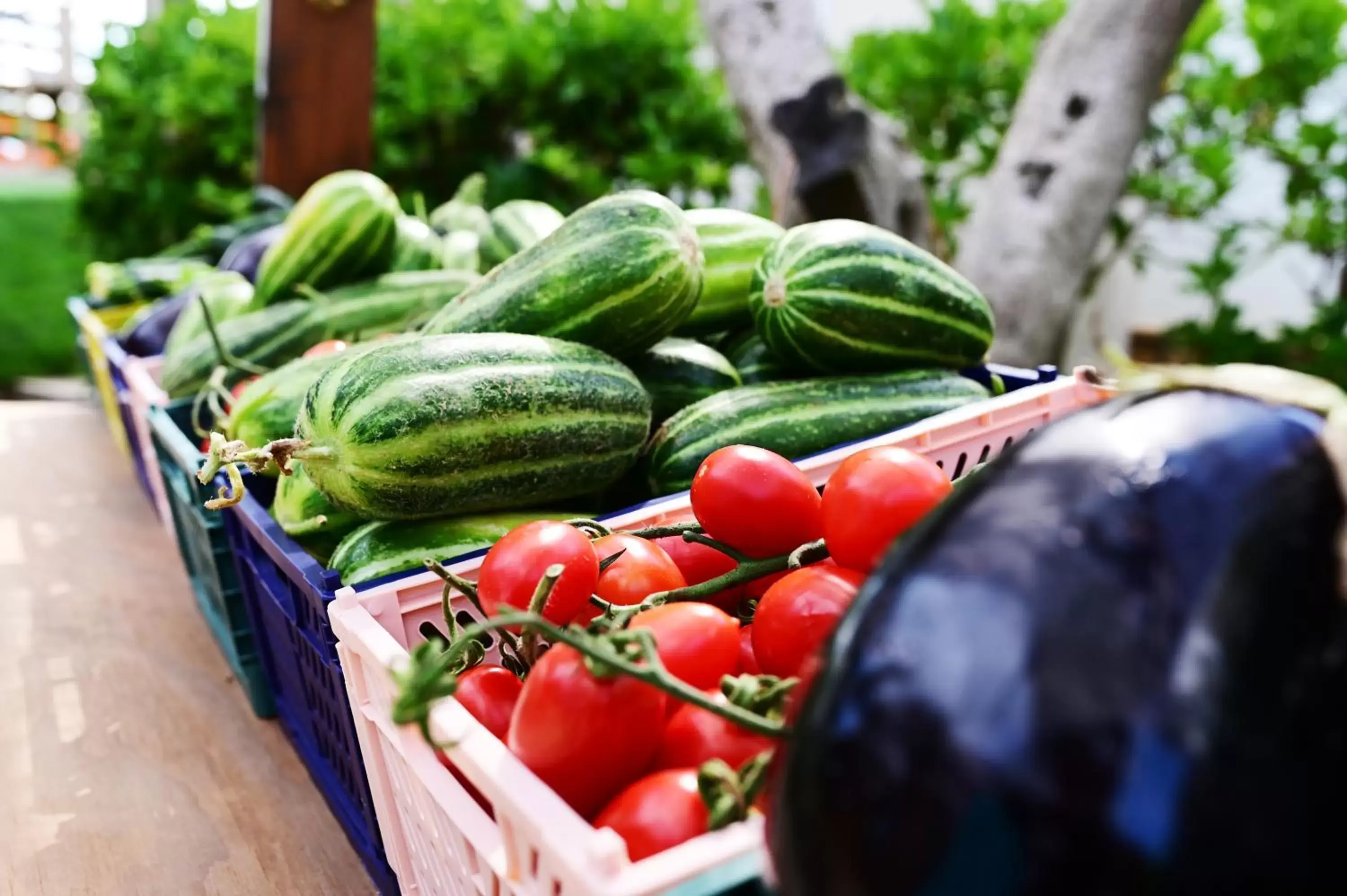 Food in AgriFamily Village