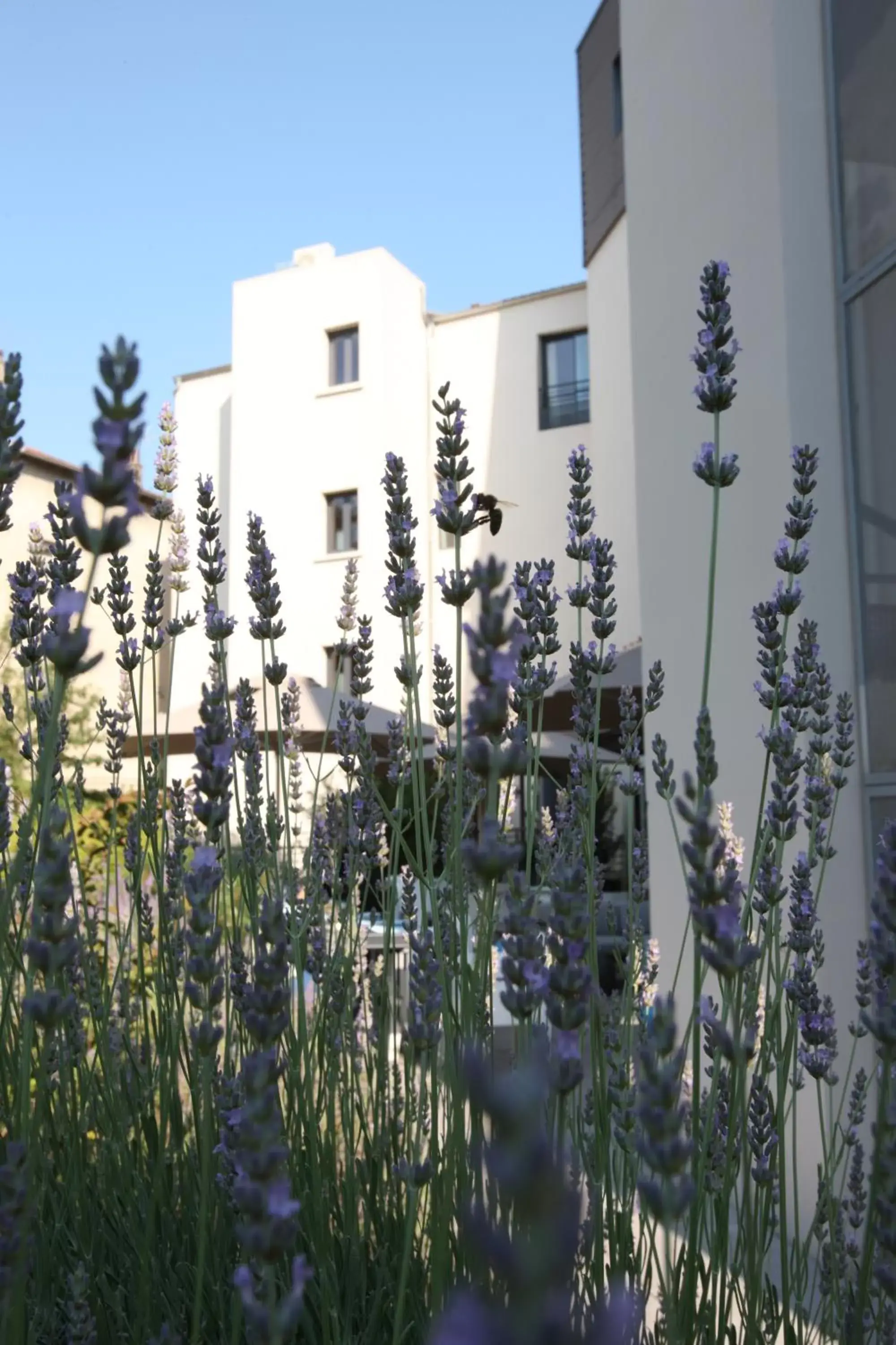 Patio, Property Building in Hotel De France