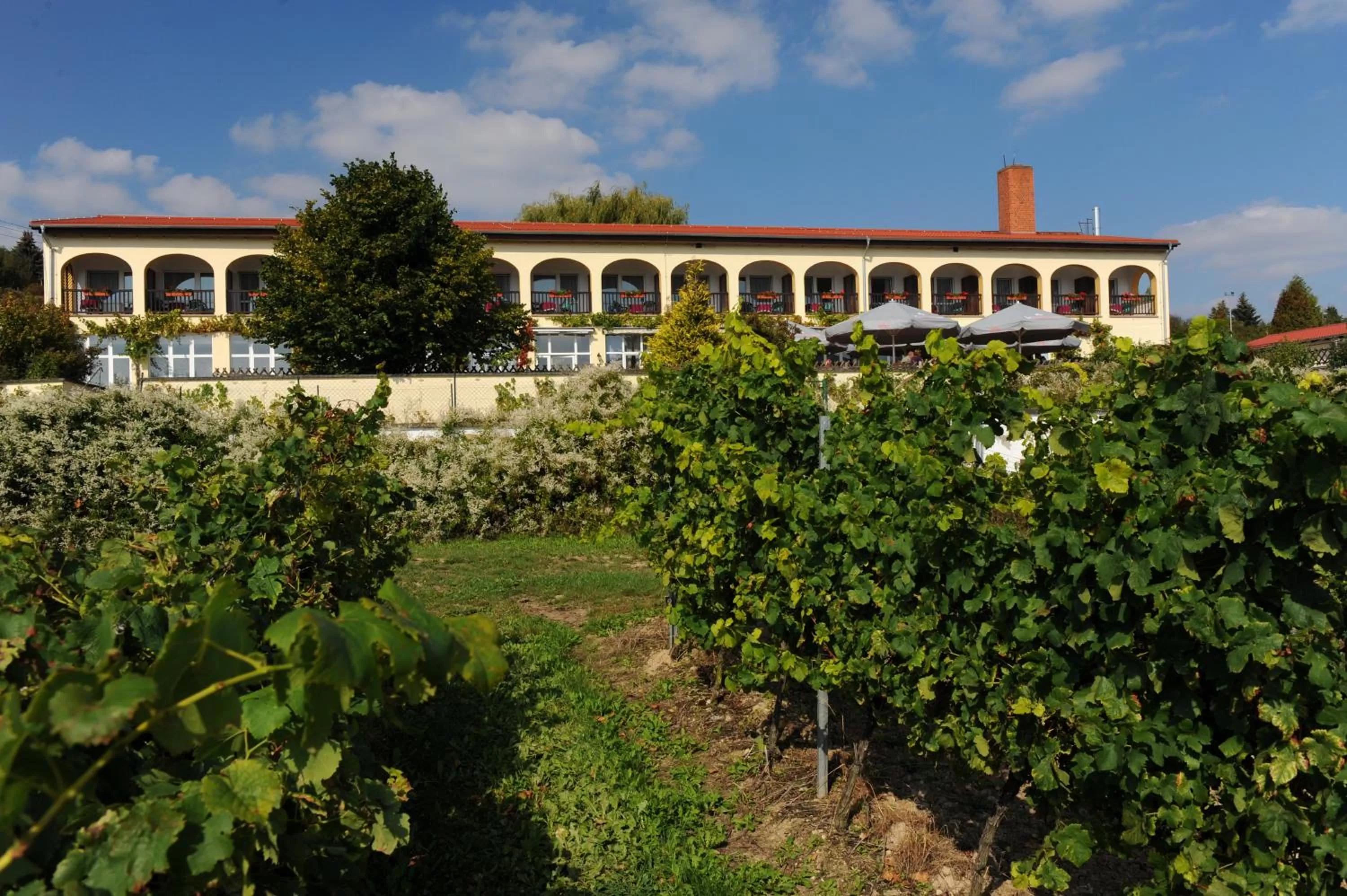 Property building in Hotel Rebschule