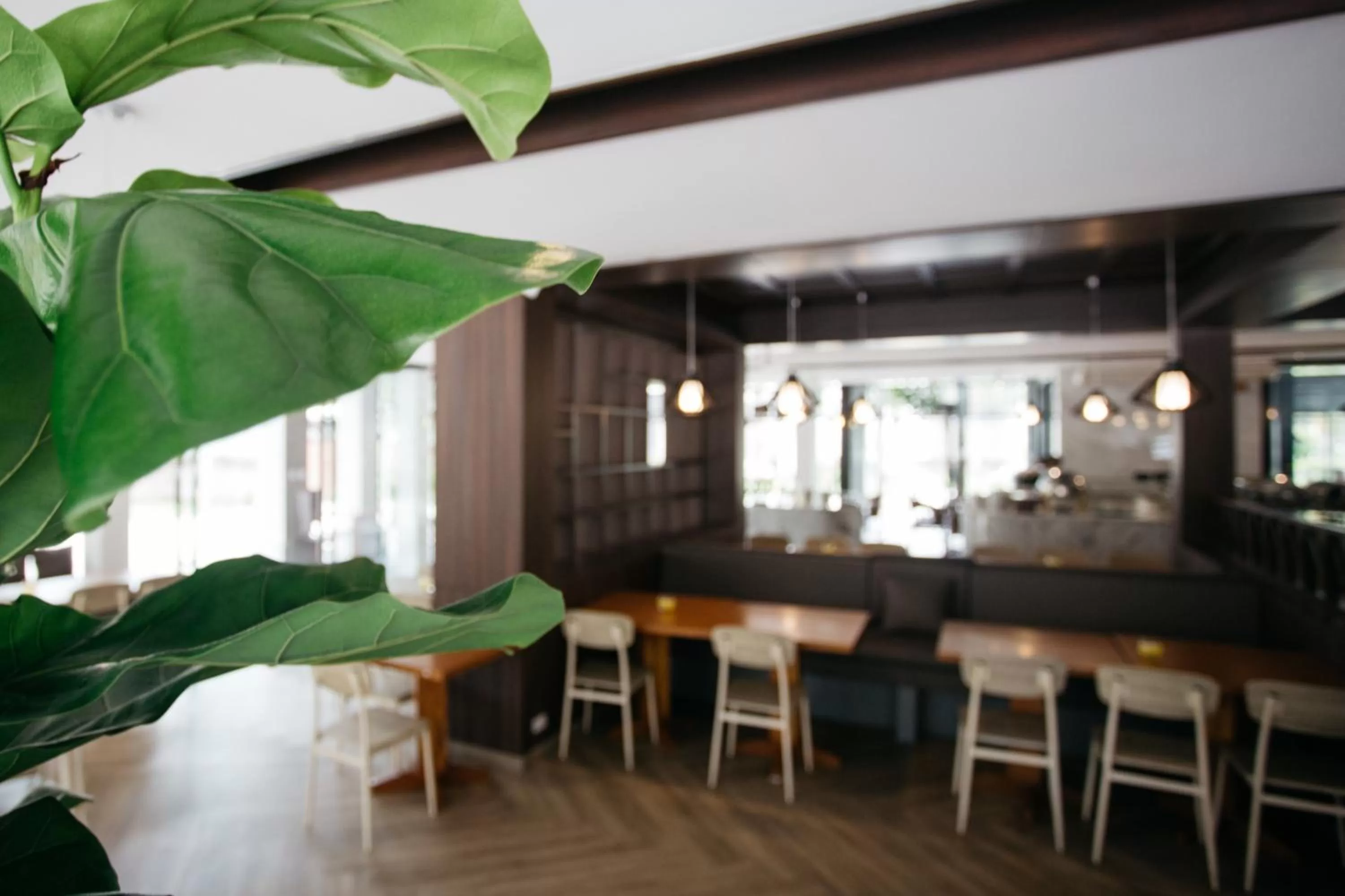 Restaurant/places to eat in Diamond Park Inn Chiangrai & Resort