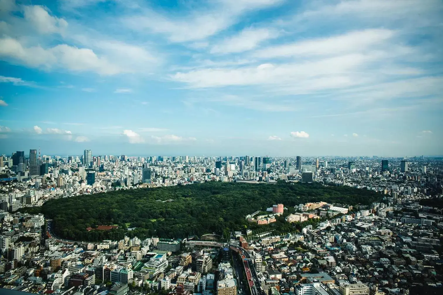 Garden view, Bird's-eye View in Park Hyatt Tokyo