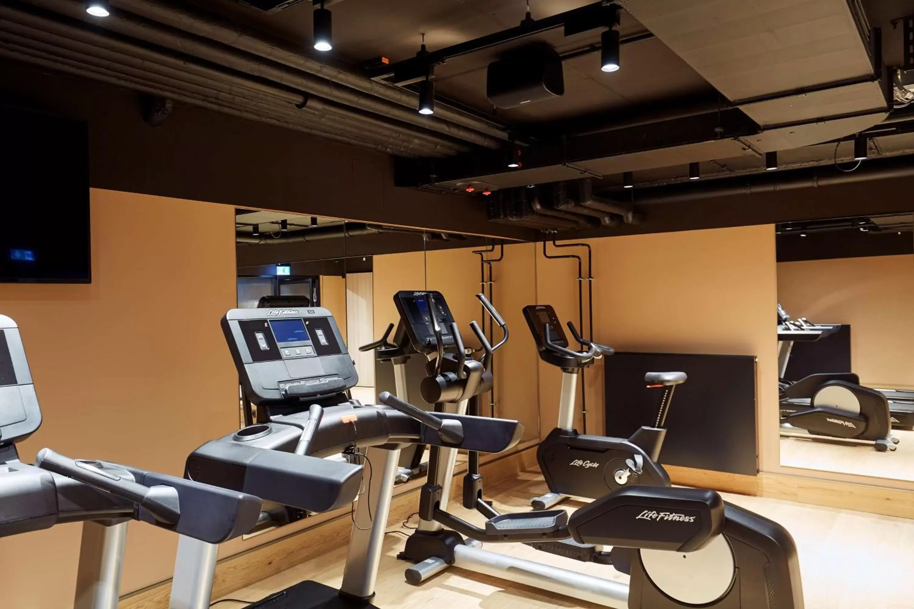 Spa and wellness centre/facilities, Fitness Center/Facilities in Scandic München Macherei