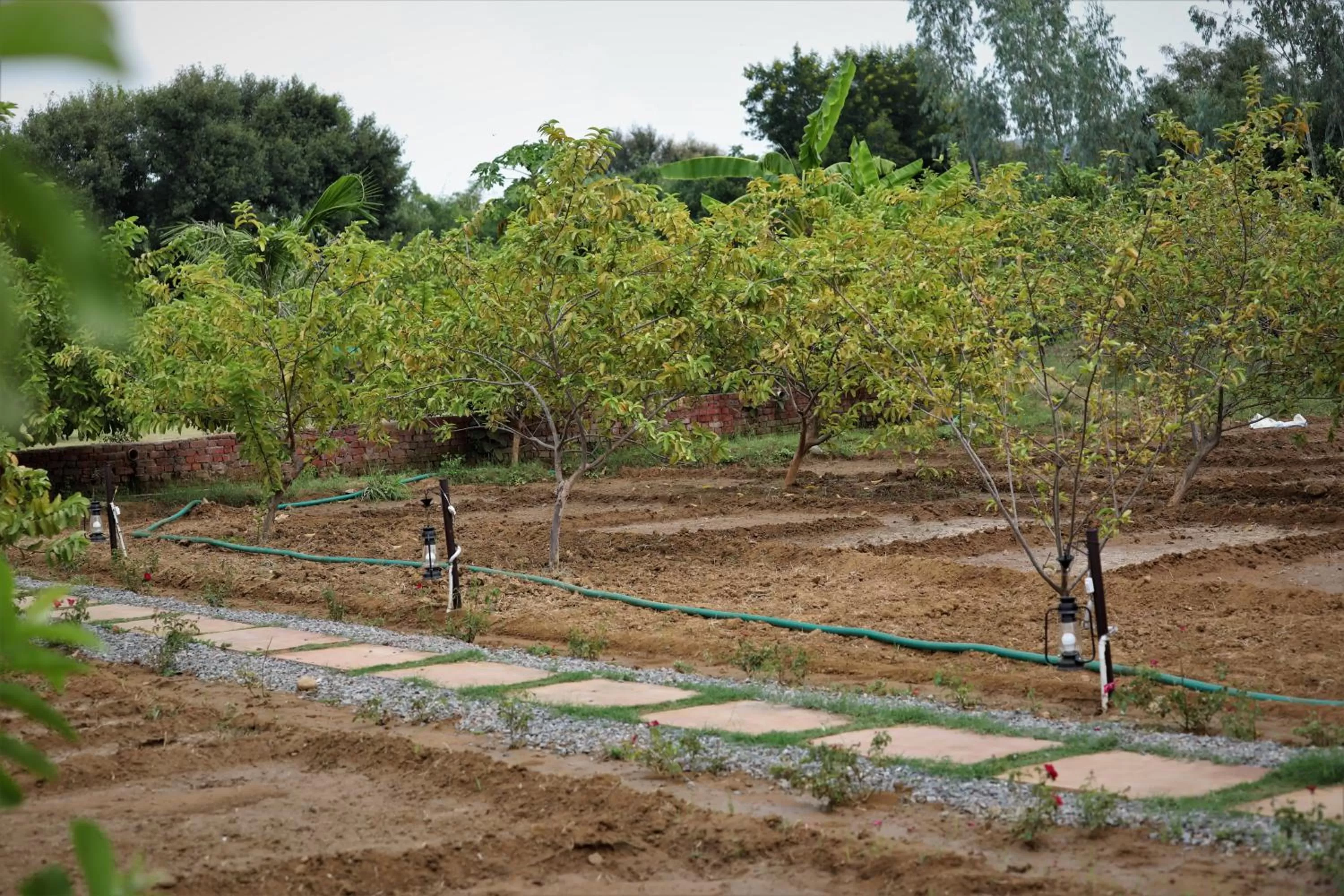 Garden in Camp Paridhi Ranthambhore, Homestay