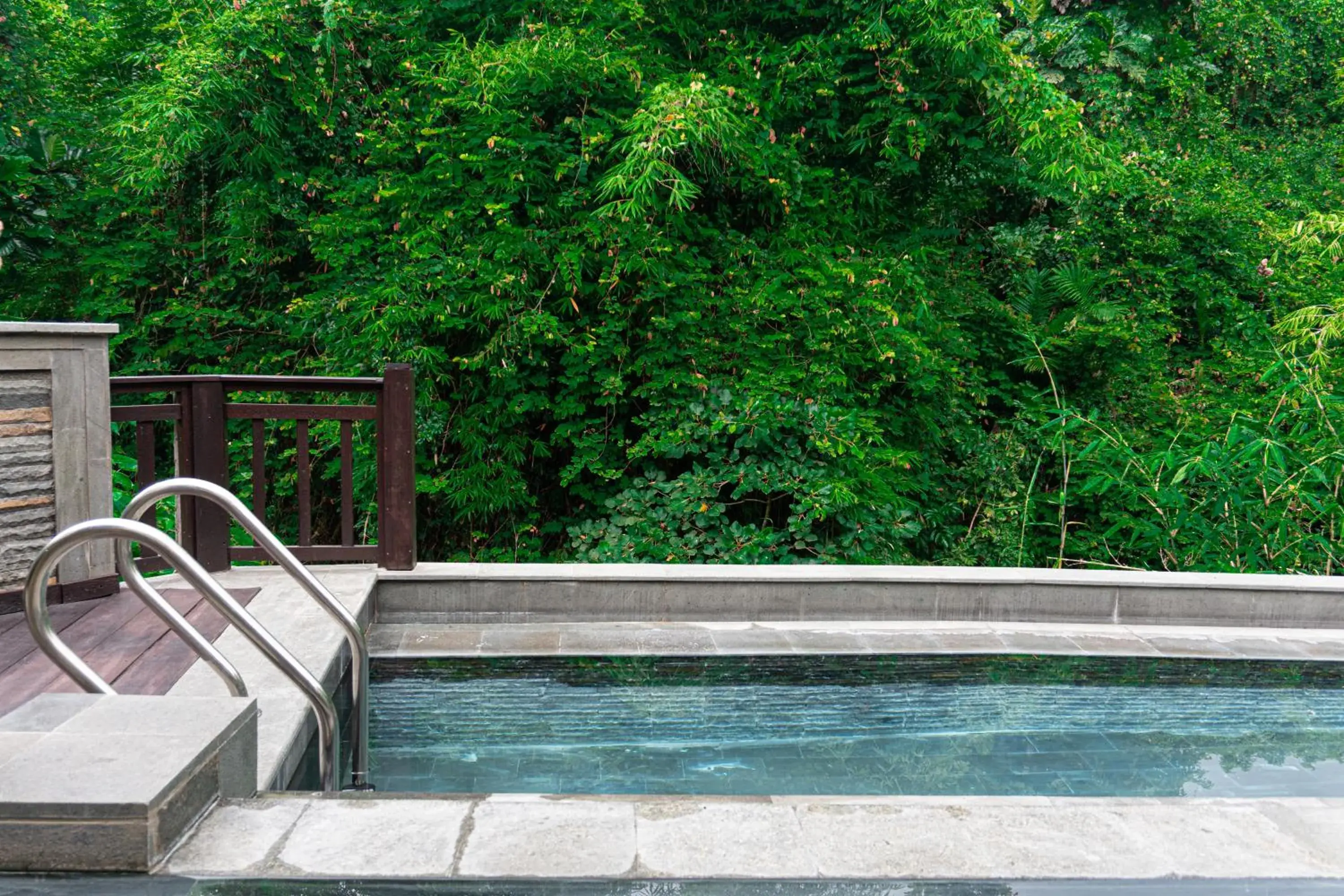 Swimming Pool in The Pari Sudha