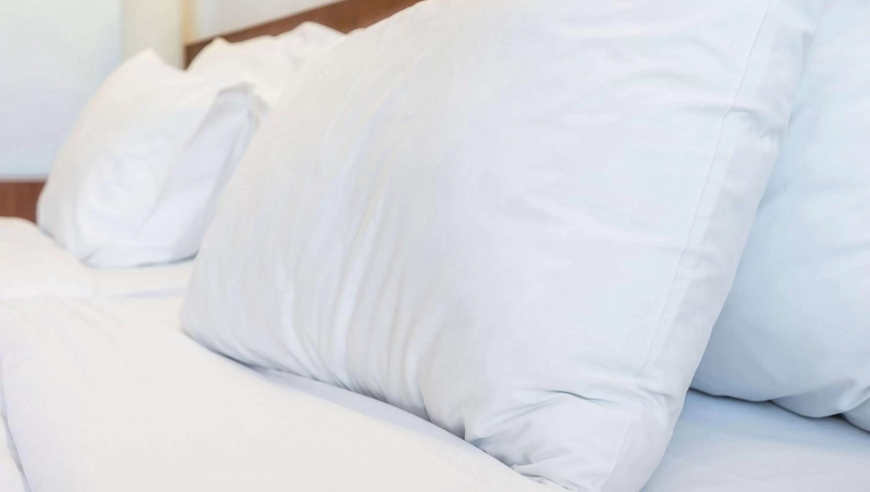 Photo of the whole room, Bed in Magnuson Hotel Blythe