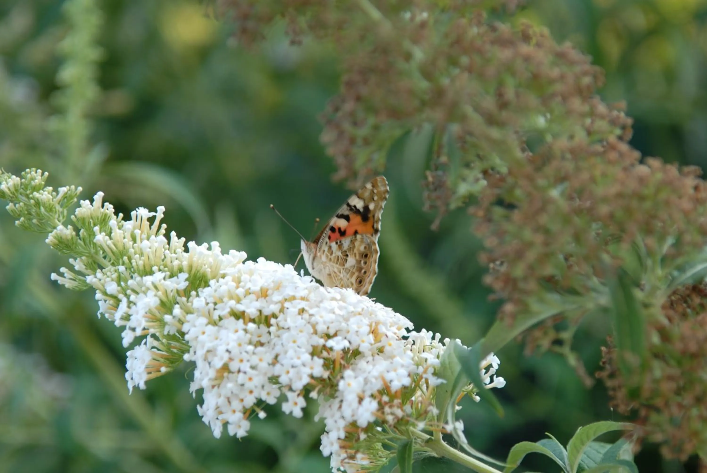 Other in Cà Rocca Relais