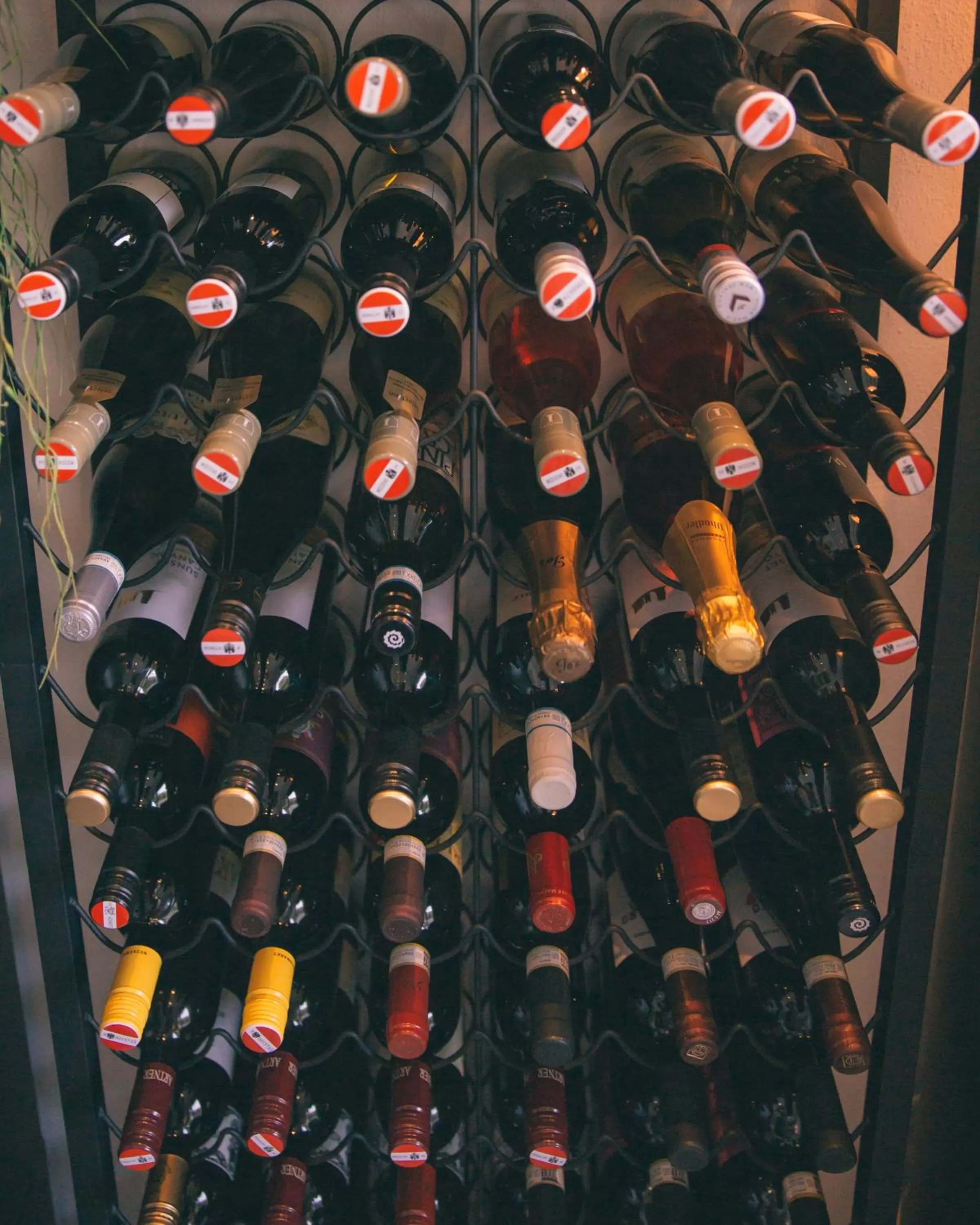 Banquet/Function facilities, Drinks in Nefer, Haus