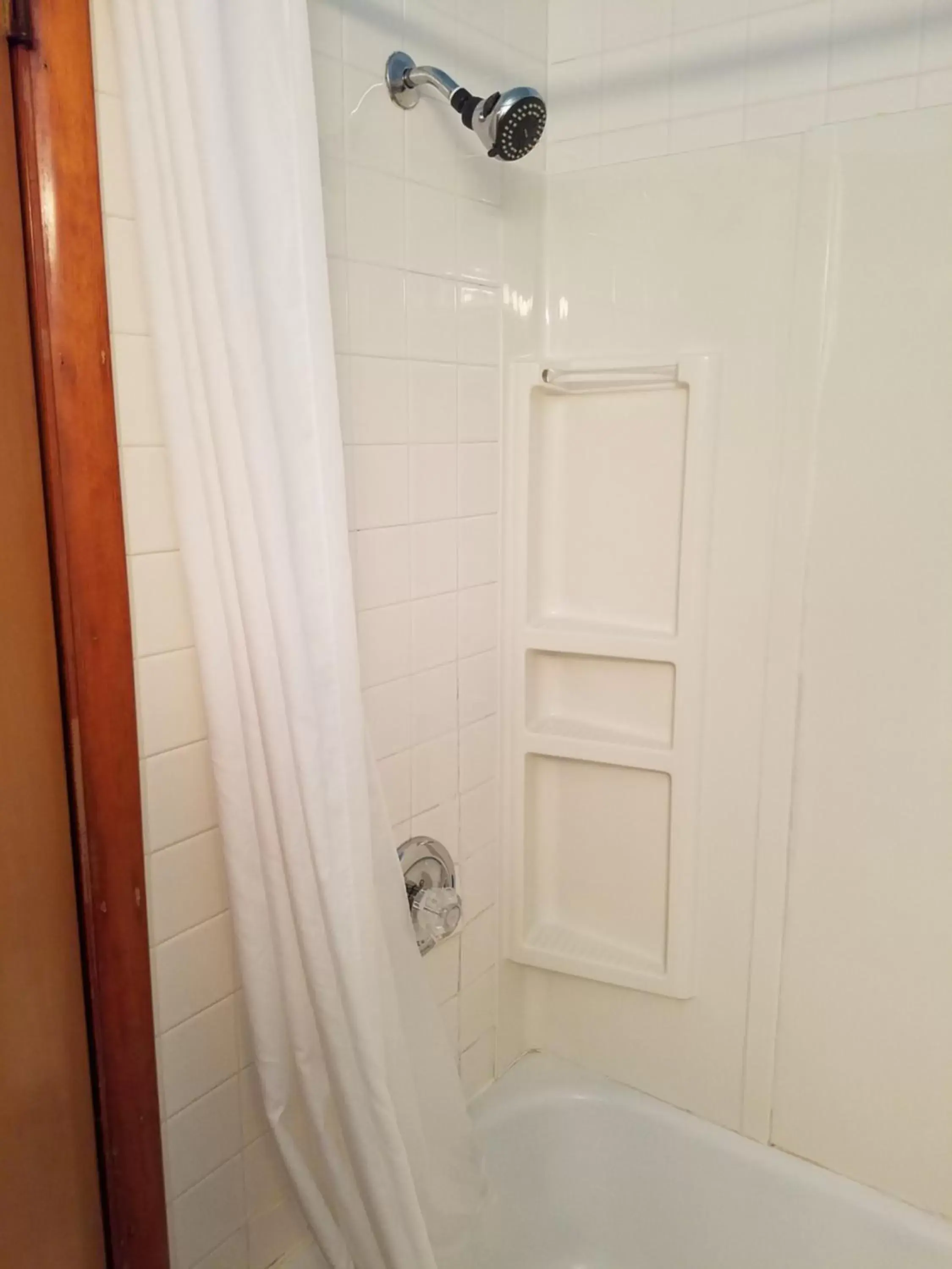 Shower, Bathroom in Buckhorn Resort