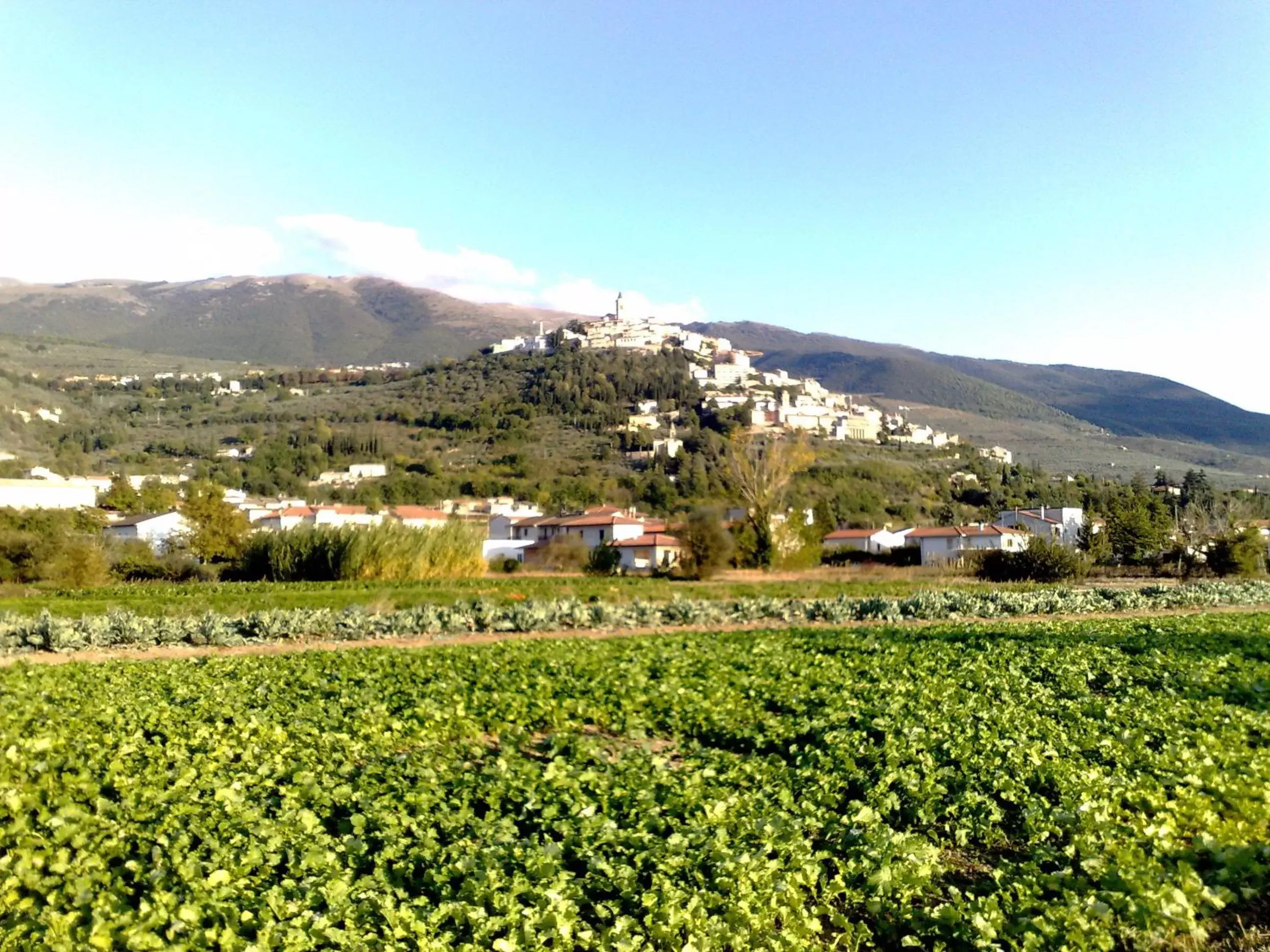 Neighbourhood in Il Borgo Dell'Ulivo