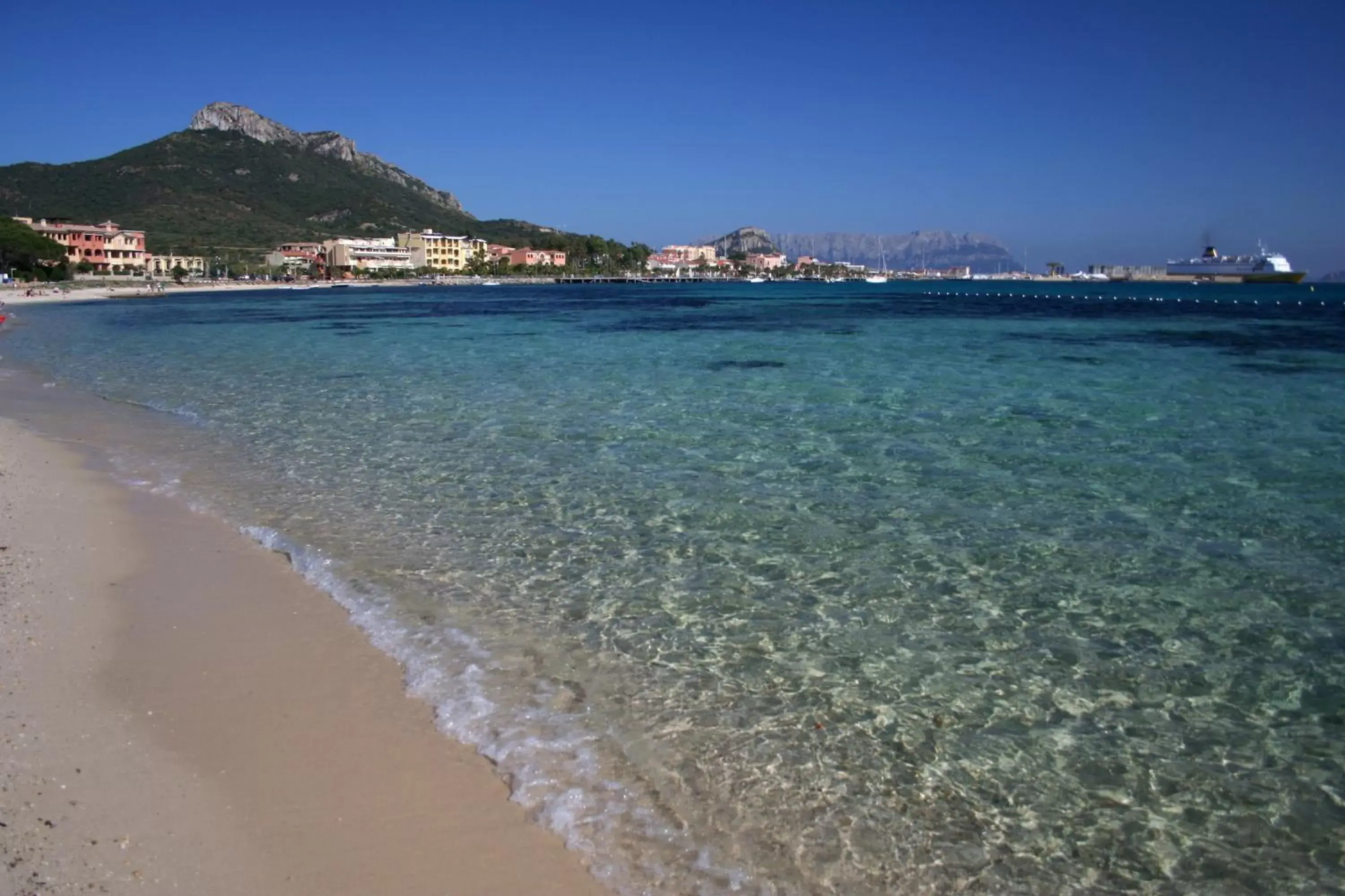 Beach in Hotel Tabby