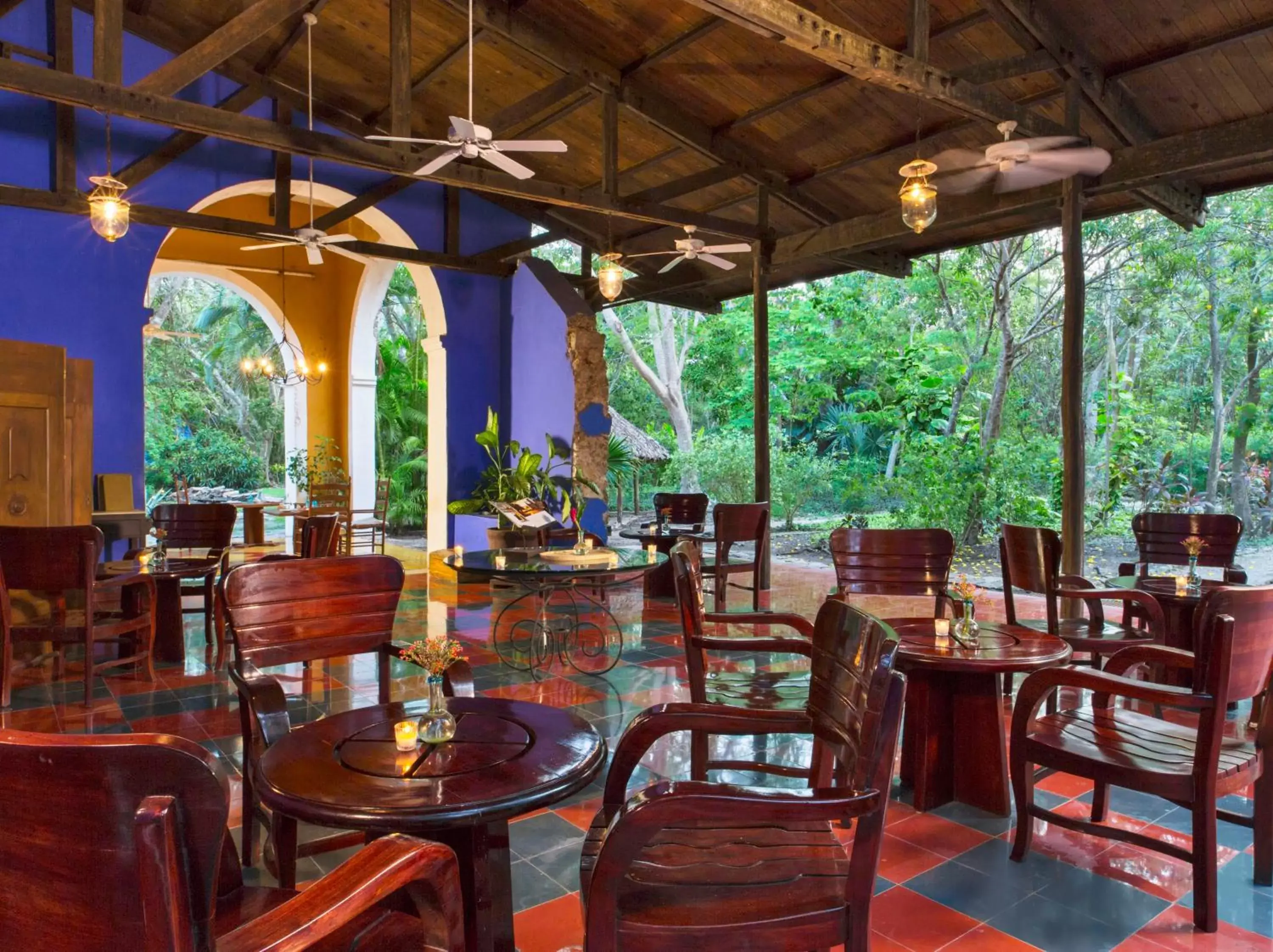 Lounge or bar, Restaurant/Places to Eat in Hacienda San Jose
