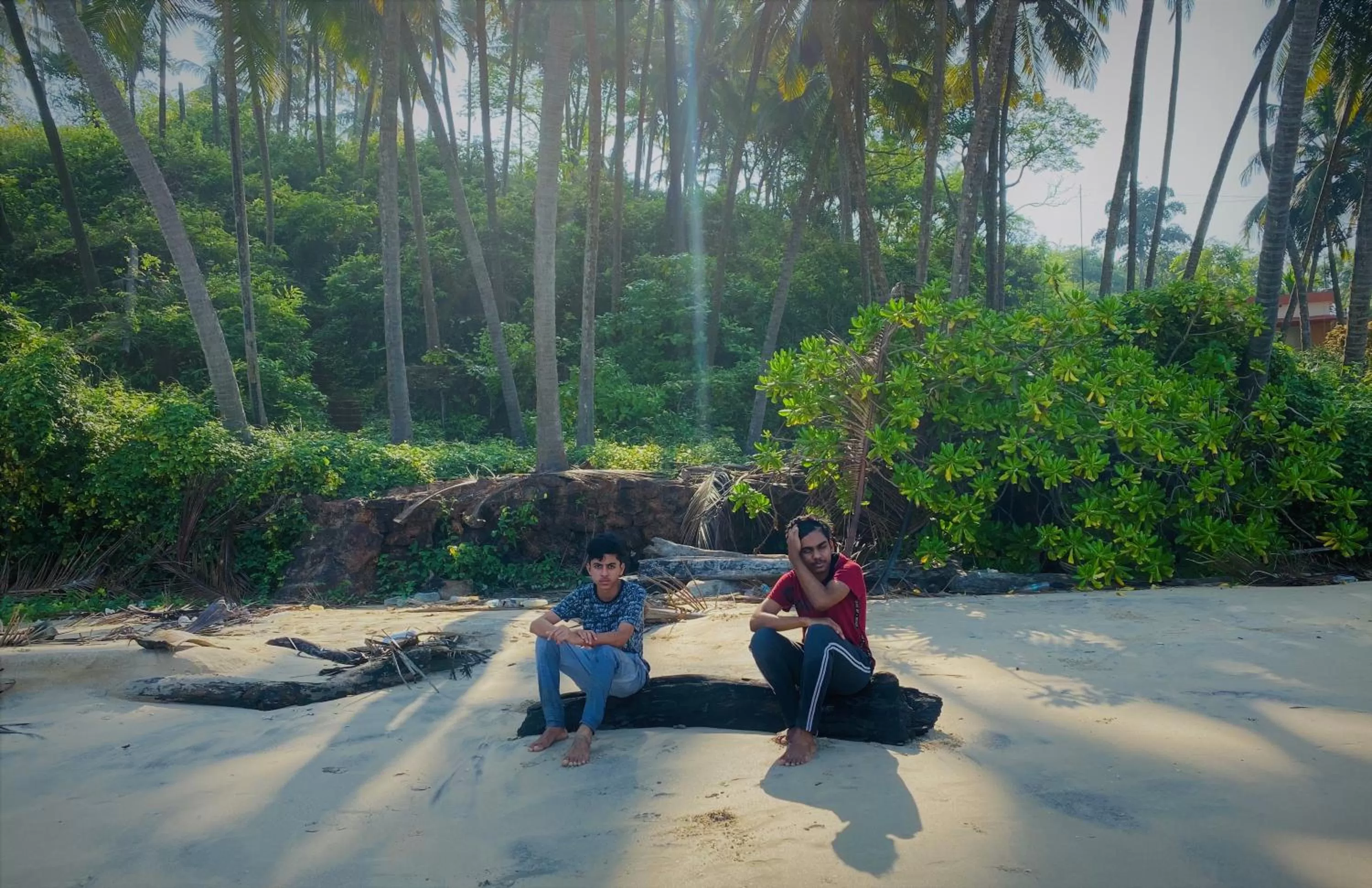Beach in White Shell