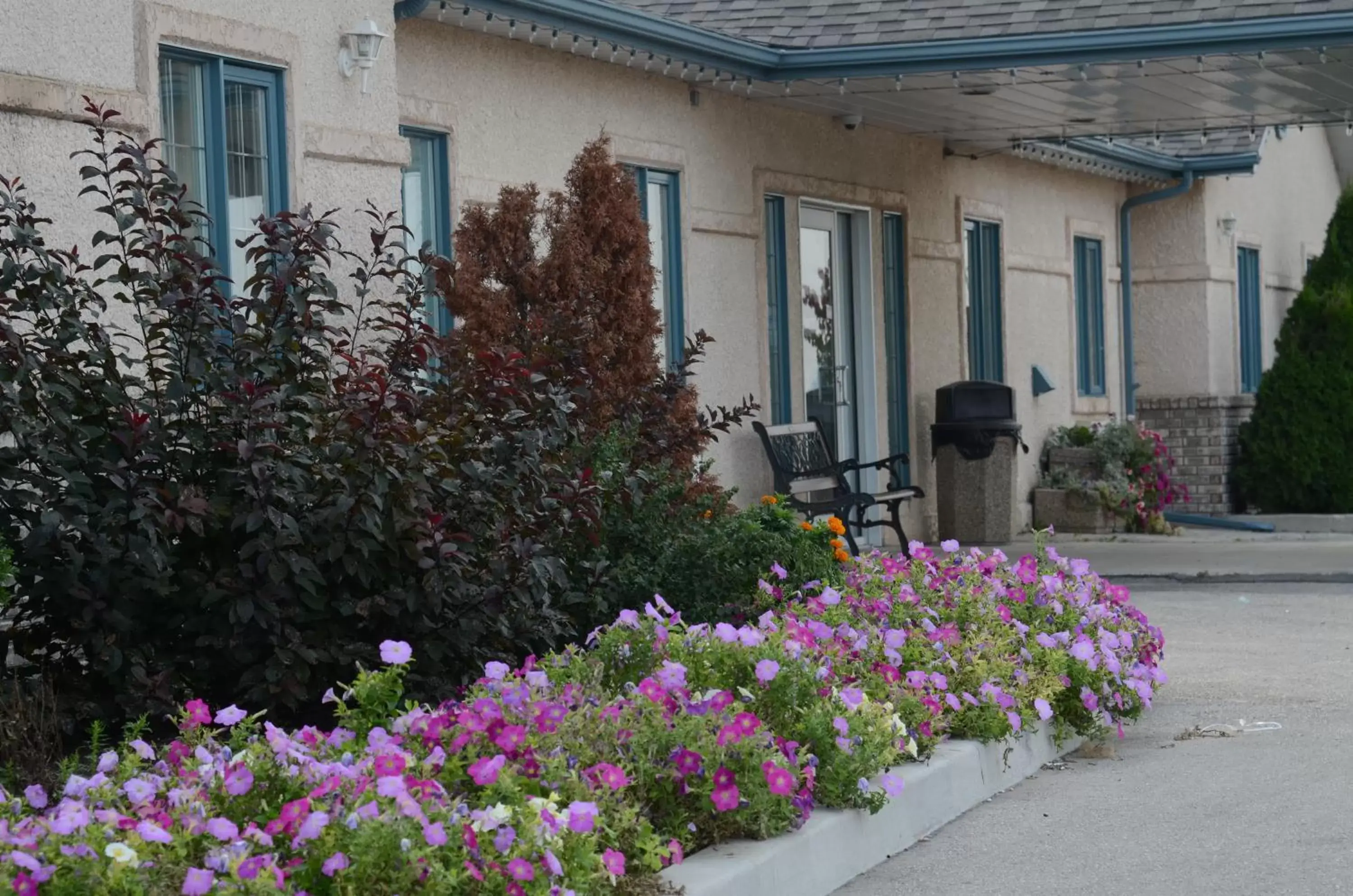 Garden in Sleep Suite Motel