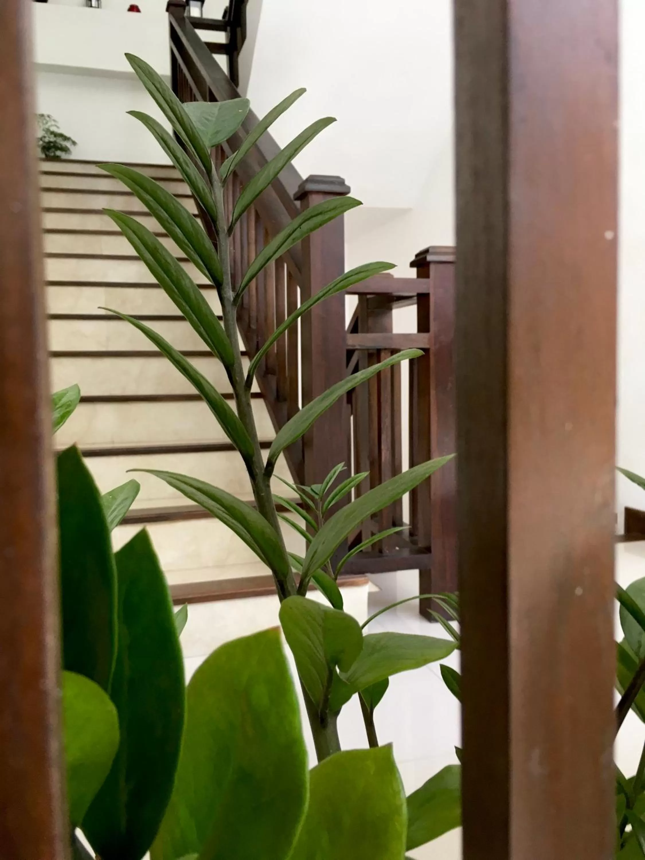 Kandy Rivers Edge Nature Resort