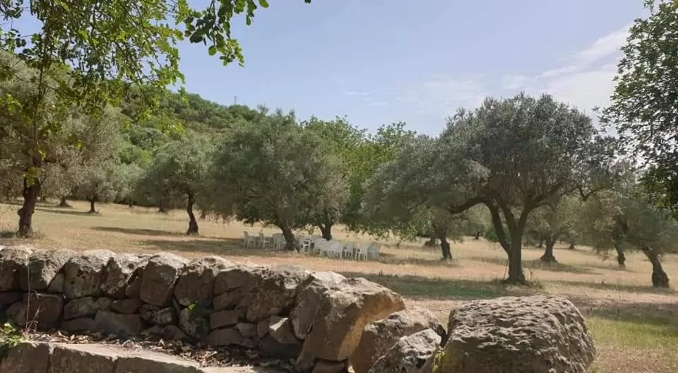 Garden in Regia Trazzera