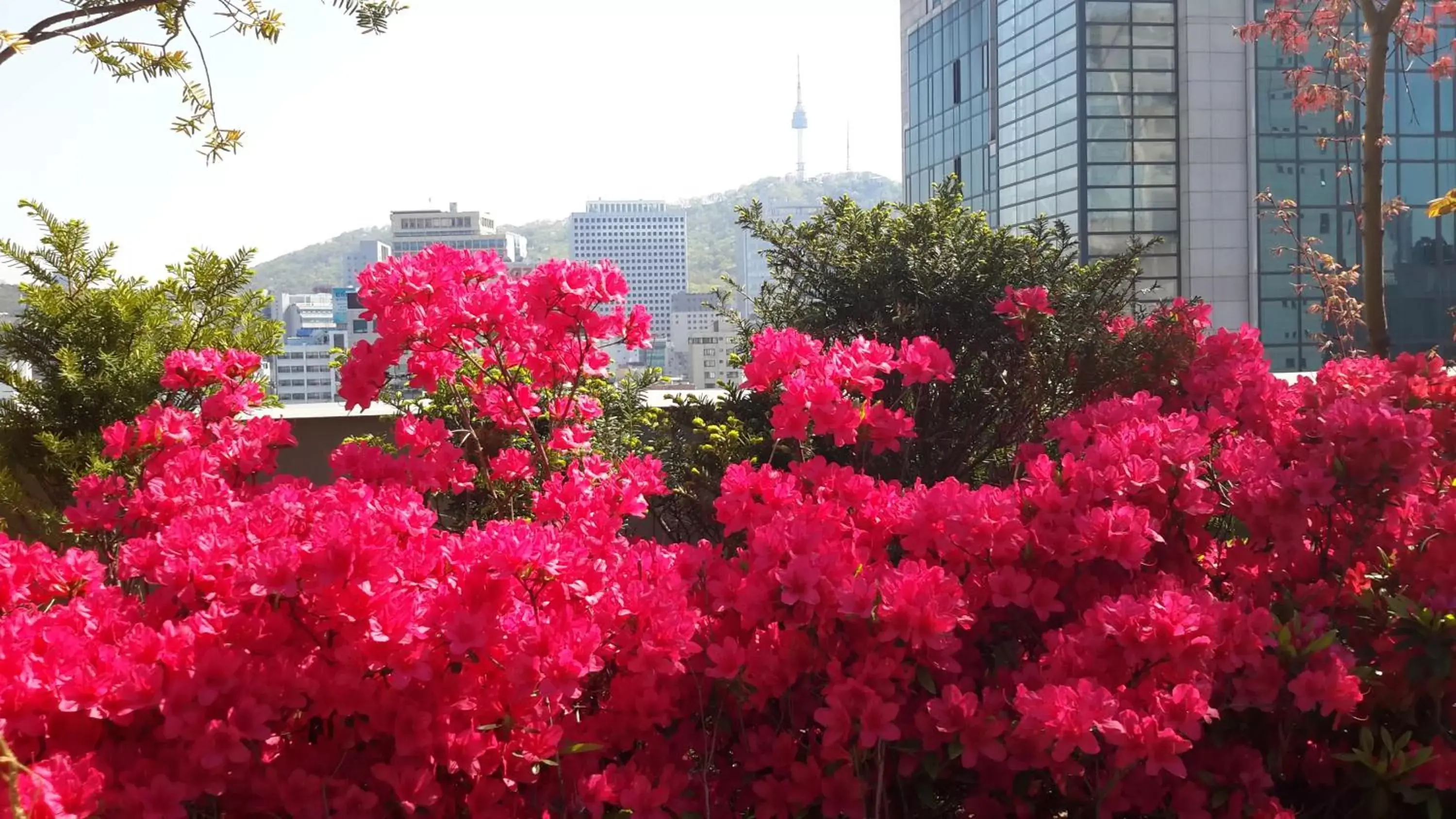 Garden view in Rian Hotel