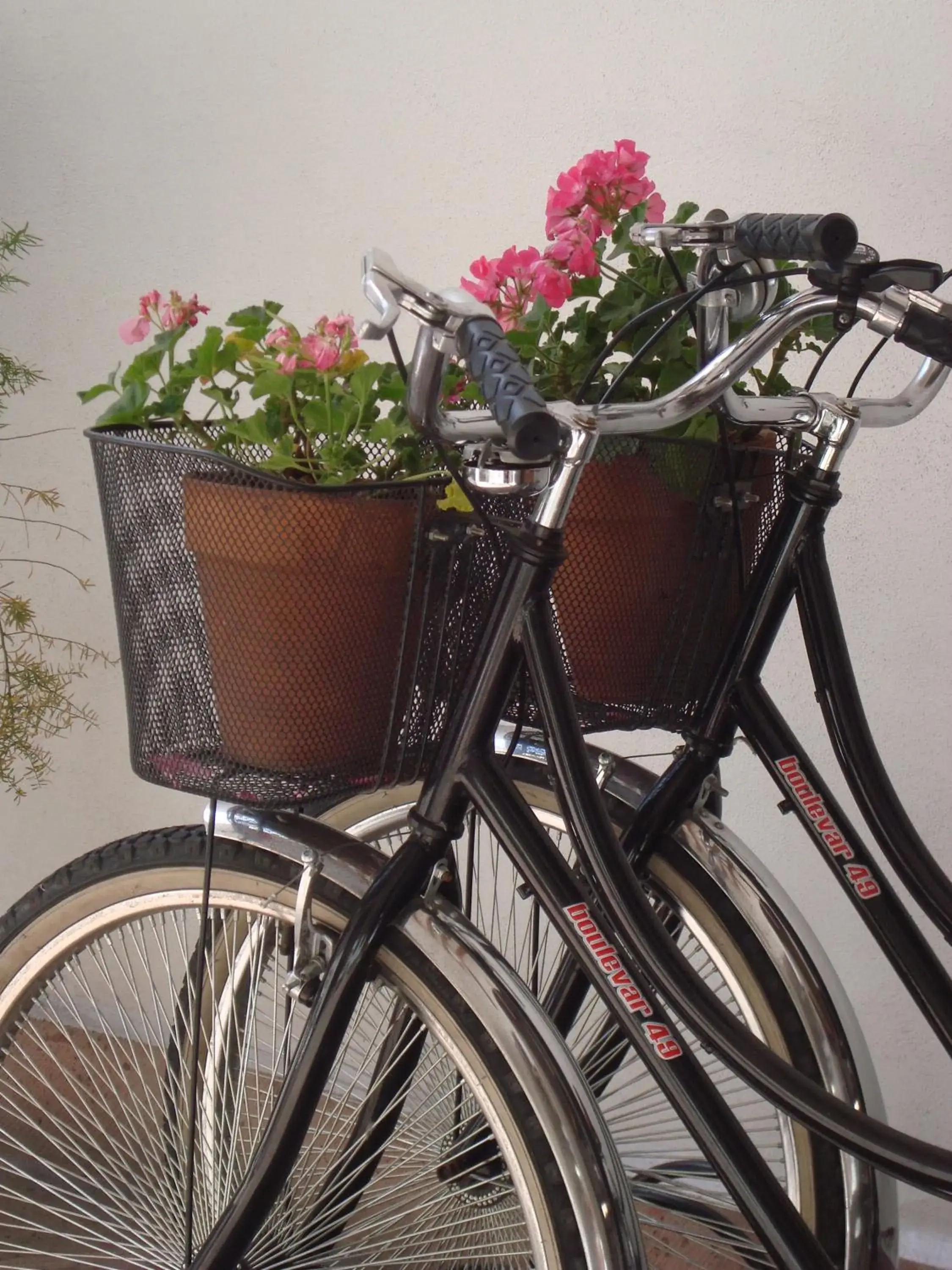 Decorative detail, Biking in El Serafin Hotel Boutique