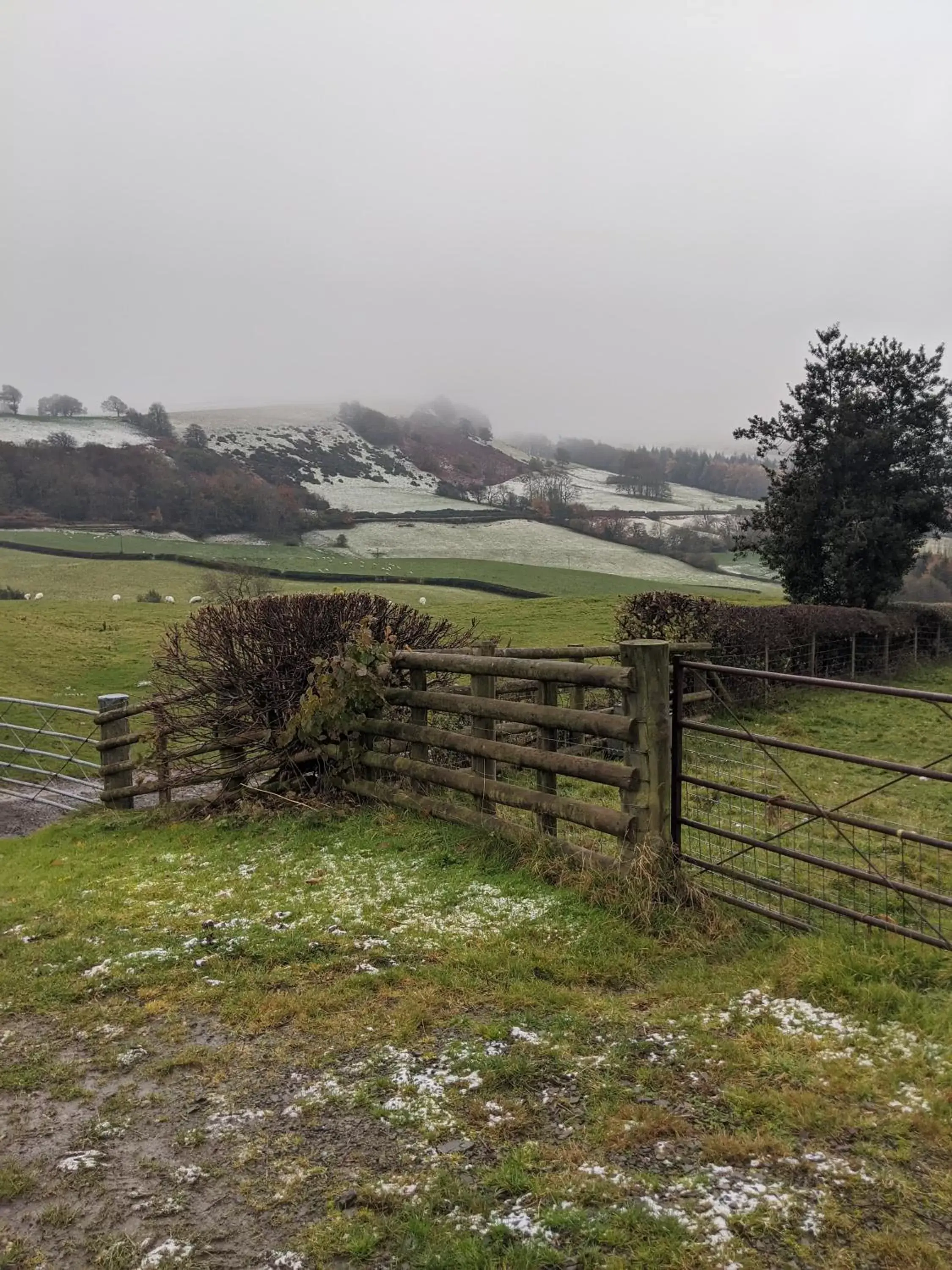 Natural landscape in The Dolfor Inn