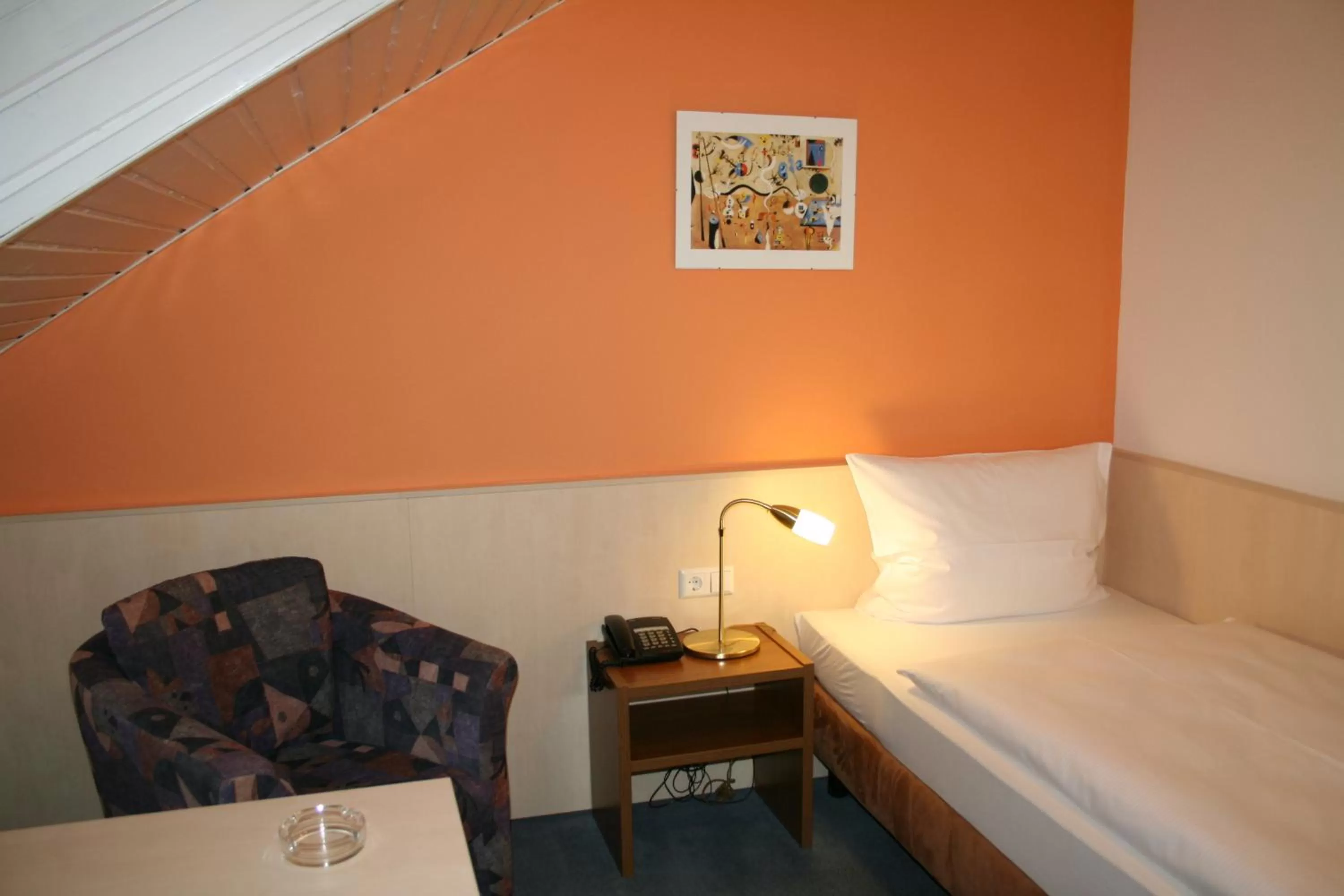 Single Room in Hotel am Bad