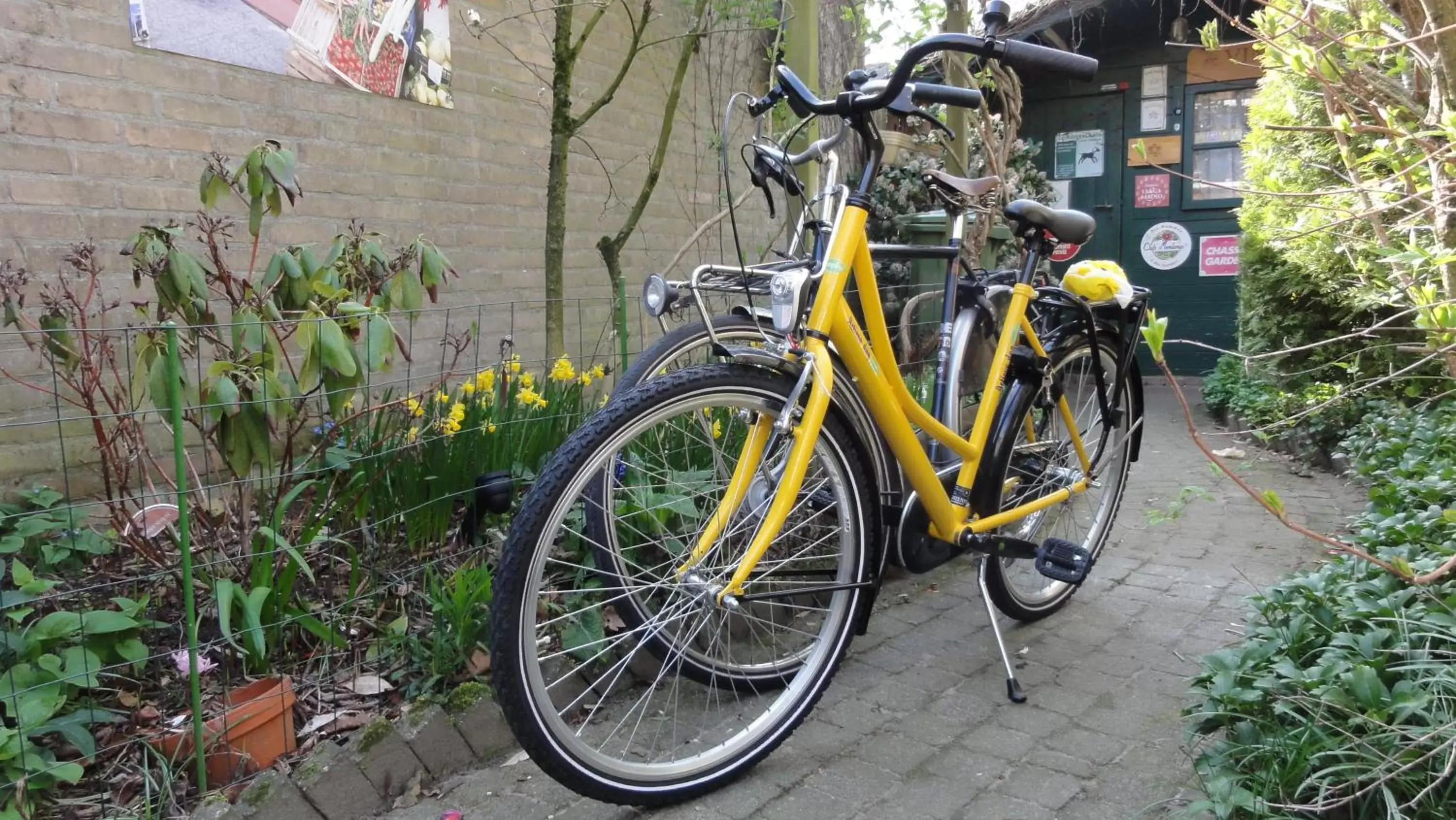 Activities, Biking in B&B Aan het Park Eindhoven